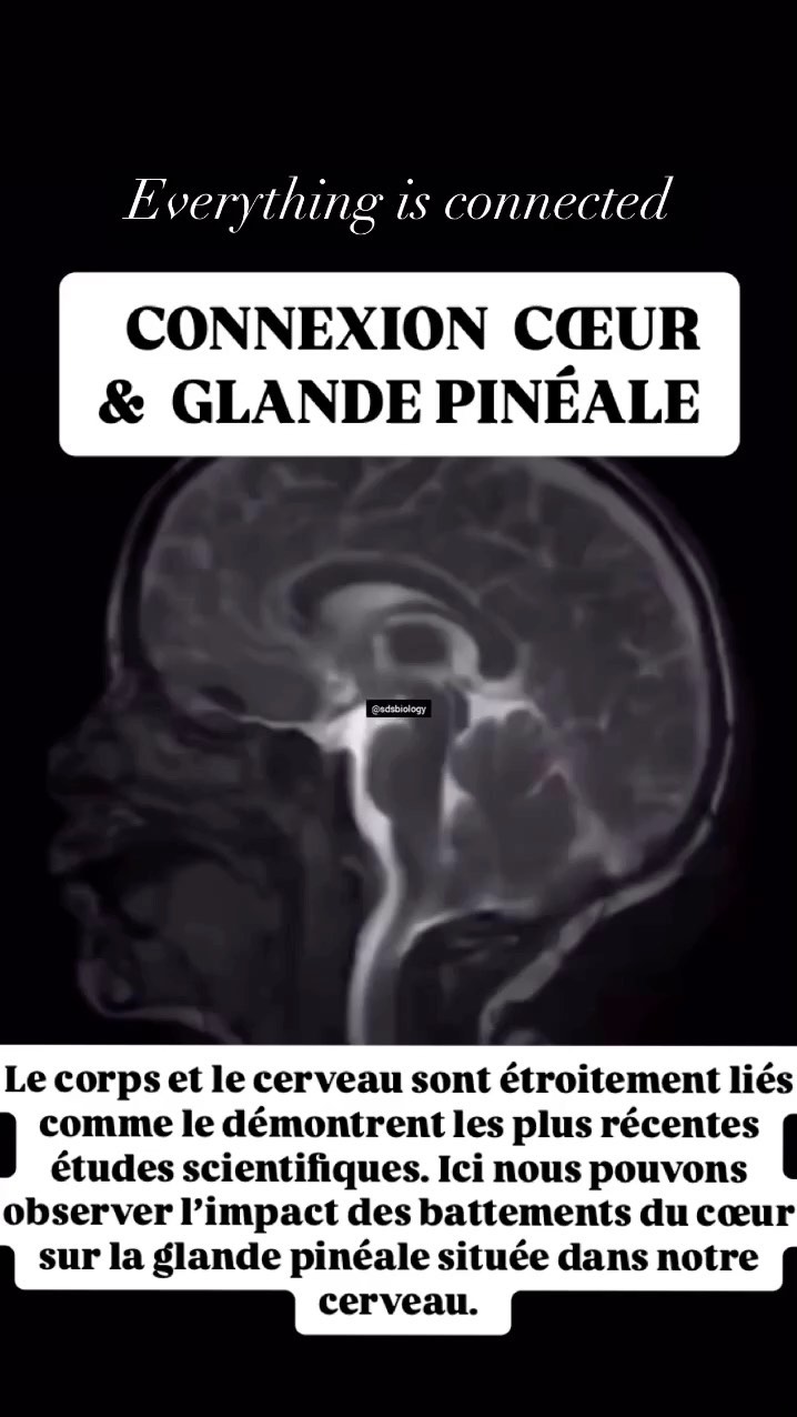 Le lien corps - cerveau est bien tout sauf un mythe. Les sages des traditions anciennes de connaissance de soi, éveil et guérison le savaient bien avant nous et aujourd’hui c’est le monde scientifique qui en prend conscience. La vrai connaissance est celle qui vient de l’expérience et de l’observation. Être humain c’est être en capacité de puiser dans les ressources de notre corps, un bout de la Nature elle-même et de notre conscience. Tout les savoirs sont encodés en nous.
Lorsque l’on oublie son corps, que l’on favorise la tête au corps, on perd l’équilibre. Ce déséquilibre se manifeste par la fatigue, le stress, les tensions, les troubles du sommeil, les sautes d’humeur, la perte de libido ou de plaisir, la dépression, les douleurs que personne ne semble identifier, les maladies auto-immune et autres maladies…
Dans mon travail le corps revient au centre de l’attention car c’est lui qui possède les réponses et les solutions que nous cherchons.
#liencorpscerveau #neurosciences #systemenerveux #sagesseducorps #psychocorporel #santémentale #santéholistique #tantra #tantrayoga #wildanddivineholistics