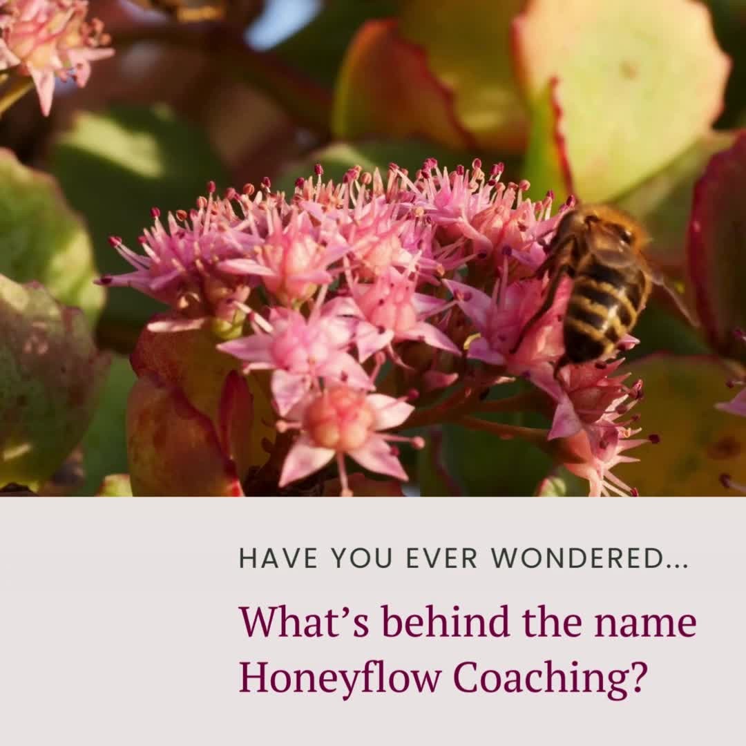 People often ask me, "Why 'honeyflow coaching'?" Well, let me explain.
In the world of bees, honeyflow is a special time. It's when bees have abundant resources, enabling them to dramatically accelerate the creation of honey. The hive buzzes with energy and productivity. It's a time of growth, progress, and sweetness. 🐝💛
I chose this name because it perfectly represents what I aspire for my coaching practice.
Much like the bees during honeyflow, the women I work with are also in a time of abundant growth and progress. With the right resources and support (which is where I come in!), they are able to accelerate their personal and professional development, creating their own version of honey – a life that's rich, rewarding, and oh-so-sweet.
So, here's to the honeyflow, both in the hive and in our lives! 🥂 May we all find our flow, tap into our abundant resources, and create something beautiful and sweet.
#womensupportingwomen #businesscoaching #womanowned #abundancemindset #femaleentrepreneur #empoweredwomenempowerwomen