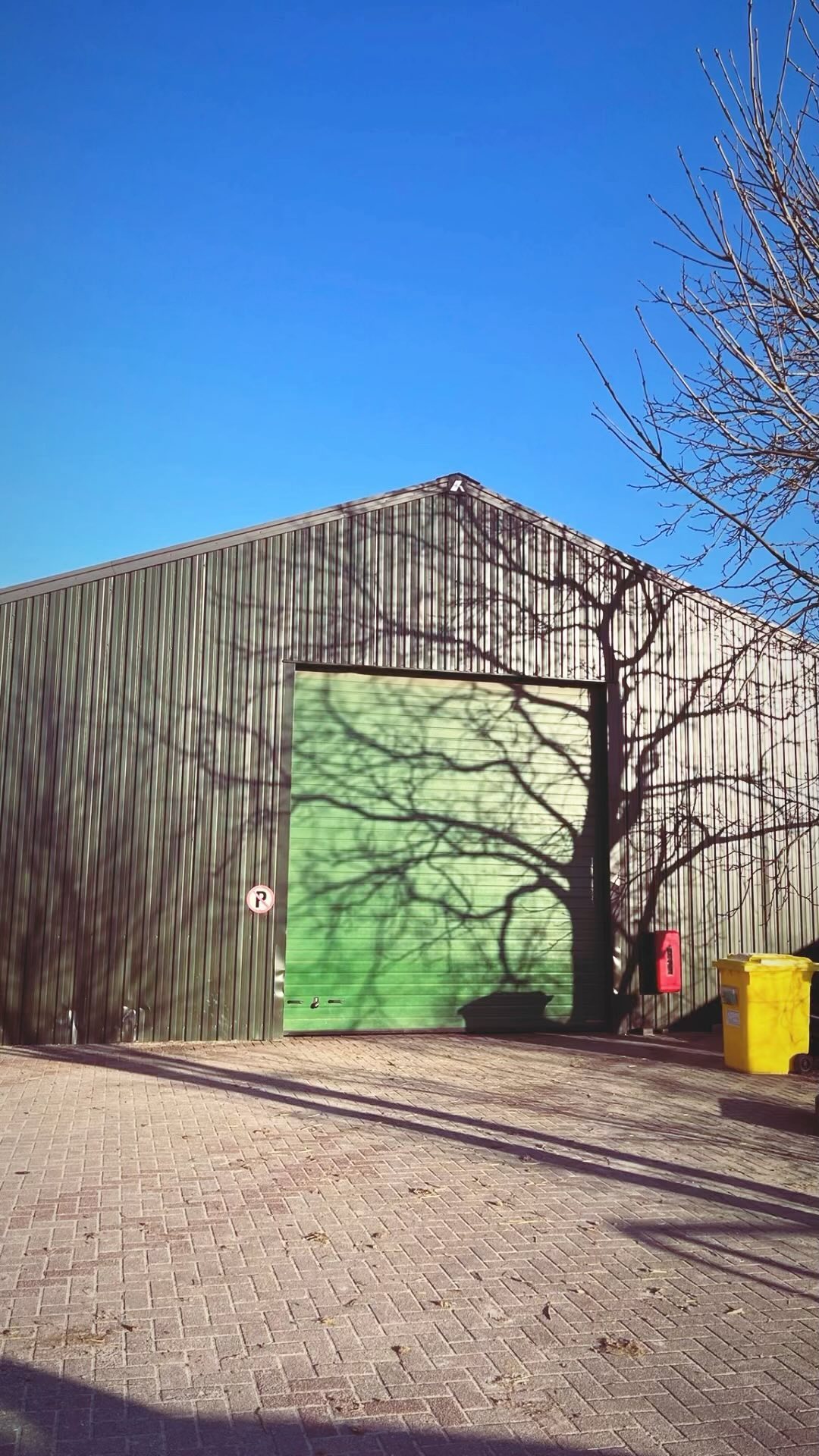 ✨Dreams come true ✨
Na twee maanden hard werken en verbouwen kan ik eindelijk met jullie delen.. Ik heb mijn eigen plekje en wat ben ik blij!
Dit plekje is een dressuurstal geworden en bestaat uit 9 stallen, twee wasplaatsen met solarium een zadelkamer met keukentje en een opslagruimte voor het hooi, stro en voer. Naast het verzorgen en trainen kunnen de paarden ook de weide op of gebruik maken van de paddocks. En tot slot, krijgen alle paarden de liefde die ze verdienen.🐴
Deze droom had nooit kunnen uitkomen zonder de essentiële hulp van Pensionstal Scheepers met in het bijzonder; Vera, Huub, Eline en Vincent! Ontzettend bedankt! Ook mama, papa, broer en opa, bedankt voor de hulp de afgelopen maanden en Zalda Ruitersport voor het opleveren van de spullen met de beste kwaliteit!💗
Tot slot wil ik iedereen bedanken die het vertrouwen in mij hebben en de paarden al in training hebben staan!
Liefs Demi🥰
#horse #equestrian #demifeijsdressage