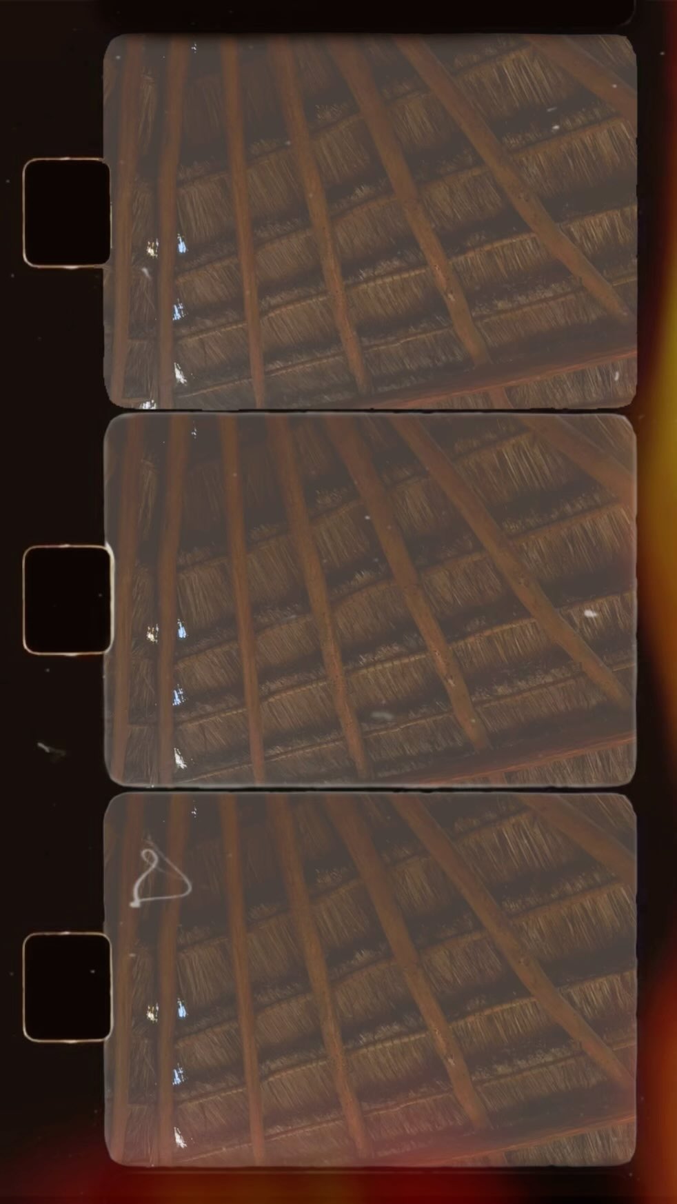 CANCUN SCENERY 🌴🌞🥥
#mexico #cancun #fyp #travel #tropics #palmtree #film