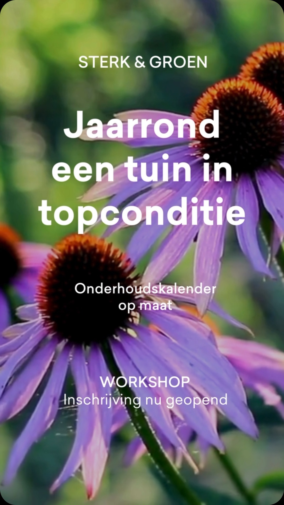 Wil je meer inzicht in je tuin en hoe deze jaarrond in topconditie te houden? Omarm het buitenleven en maak van tuinieren je (nieuwe) hobby! 🌱🏡
Schrijf je in voor onze workshop, verrijk je tuinkennis en ga aan de slag met een onderhoudskalender voor jouw tuin!
WANNEER: zaterdag 6 januari
TIJD: 09:00 - 12:00
WAAR: STERK tuincentrum
79,- p.p.
✅ Compleet verzorgde Workshop begeleid door een ervaren tuinexpert.
✅ Inclusief digitaal naslagwerk en handig Excel template om je eigen onderhoudskalender verder uit te werken (na de workshop ontvang je deze in je mailbox) t.w.v. 29,-
✅ Geschikt voor beginnende tuiniers en meer ervaren tuiniers die kennis willen verdiepen of meer structuur willen in het onderhoud
WAAROM DEZE WORKSHOP?
- Jaarrond tuinplezier: Leer hoe je het hele jaar door je tuin kunt verzorgen en optimaliseren voor maximale groei en bloei. Klaar voor het buitenleven!
- Deskundige begeleiding: Ontvang begeleiding van ervaren tuinexpert die je stap voor stap door het proces leidt en al je vragen over jouw tuinproject beantwoord.
- Hands-on: werk aan het opstellen van een echte tuinkalender, afgestemd op jouw specifieke plantgroepen en tuinomstandigheden.
- Seizoensgebonden werkzaamheden: Leer welke taken je moet uitvoeren in het voorjaar, zomer, herfst en winter voor een gezonde en bloeiende tuin.
- Bodemkennis: Begrijp hoe je bodemanalyses kunt gebruiken om ervoor te zorgen dat je planten gedijen in de specifieke omstandigheden van jouw tuin.
- Direct toepasbaar: Ga naar huis met een concrete tuinkalender, klaar om toe te passen voor directe verbeteringen.
- Kennis delen en netwerken: Ontmoet gelijkgestemde tuinliefhebbers, deel je ervaringen en passie voor tuinieren. Deze workshop is een prachtig moment om kennis te delen.
- Naslagwerk: Ontvang digitaal naslagwerk van de workshop met alle informatie die tijdens de workshop wordt behandeld.
AANMELDEN
Omarm het buitenleven en ervaar de seizoenen in je eigen tuin! Schrijf je in via onze website tuincentrumsterk.nl