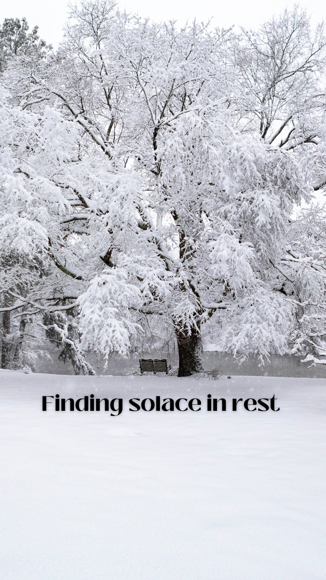 ❄️❄️❄️Tips Below❄️❄️❄️
Amidst winter’s chill, nature finds solace in rest.
Let’s take this reminder to honour our own need for rejuvenation. Like nature, our bodies crave stillness before our next bloom. ❄️❄️❄️
Here are some tips for caring for your body during the winter season:
1. Prioritize Sleep: Aim for 7-9 hours of quality sleep each night to support your body’s natural healing and rejuvenation processes.
2. Nourish with Warm Foods: Incorporate nourishing, warm foods into your diet like soups, stews, and herbal teas to support your immune system and keep you cozy.
3. Move Your Body: Engage in gentle movement activities like yoga, walking, or stretching to keep your body flexible and improve circulation, which can help combat winter stiffness.
4. Practice Self-Care: Take time for yourself to relax and unwind with activities like reading, meditation, or warm baths to alleviate stress and promote mental well-being.
5. Stay Connected: Combat feelings of isolation by staying connected with loved ones, whether it’s through virtual meetups, phone calls, or socially distanced outdoor activities.
6. Listen to Your Body: Pay attention to your body’s cues and give yourself grace to rest when needed. Honor your own rhythms and energy levels during this season.
If you're looking for more
support, send me a DM to learn how 🫶🏼
#WinterRest #SelfCare #MentalHealthAwareness #WinterSelfCare #SeasonalDepressionAwareness #BloomAgain