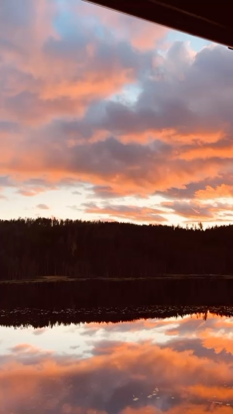 🍁Viveo Omsorg ~ Vi ser den enkelte🍁#viveoomsorg #helse #norway #fred #hope #life #respect