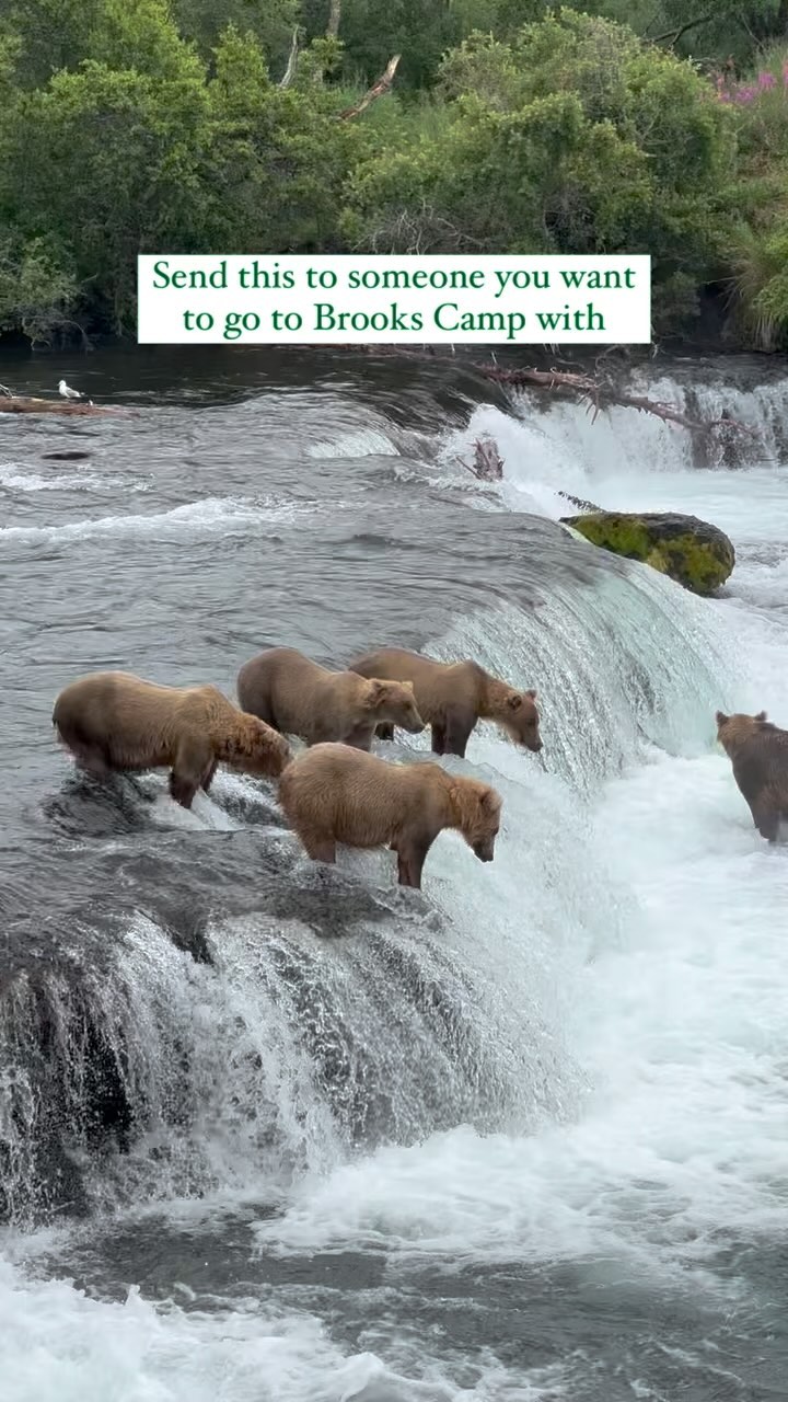 Who’s ready to go?
Did you know you can hit both Katmai and Lake Clark National Parks when you stay with us at Lake Clark Resort?
Come knock off these two parks off your bucket list!
#alaska #reels #lakeclarkresort #katmai #brookscamp #lakeclark #nps