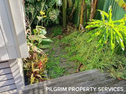 With a stretch of wet weather coupled with winter, our gardens and outdoor spaces will be needing some attention. This was a recent overhaul for a client.