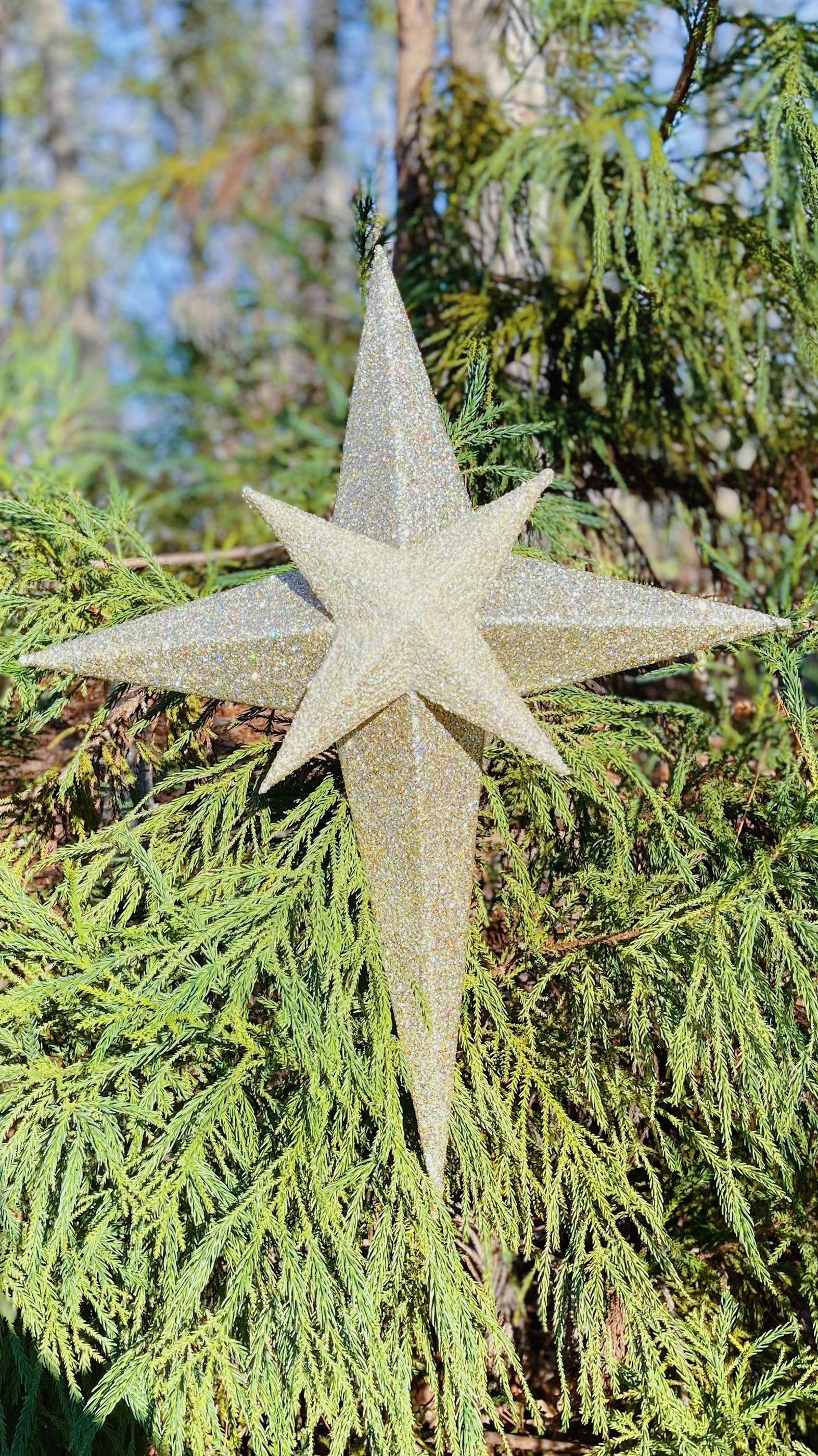 Pt. 2 of the Christmas Star 🌟 🌟🌟 She’s a big beauty