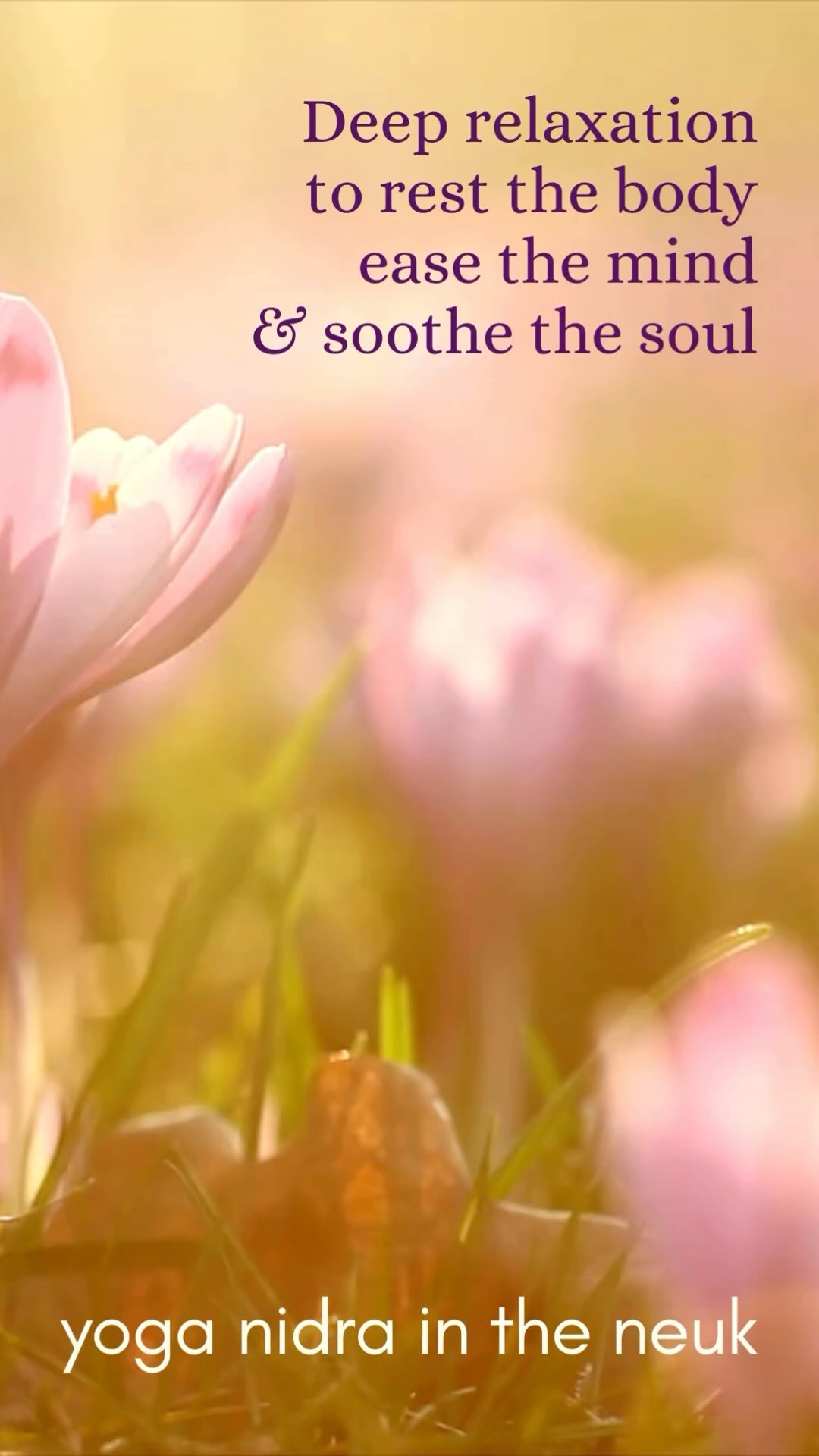 Join me this Sunday at 6pm at Fit to the Core in St Monans for a deeply relaxing Yoga Nidra session. All you need is a blanket and a cushion and a willingness to let everything go. Yoga Nidra can be hugely beneficial for a whole range of issues, including sleep and fatigue, stress and anxiety, lack of focus and overwhelm and so much more. It’s quite simply lush.