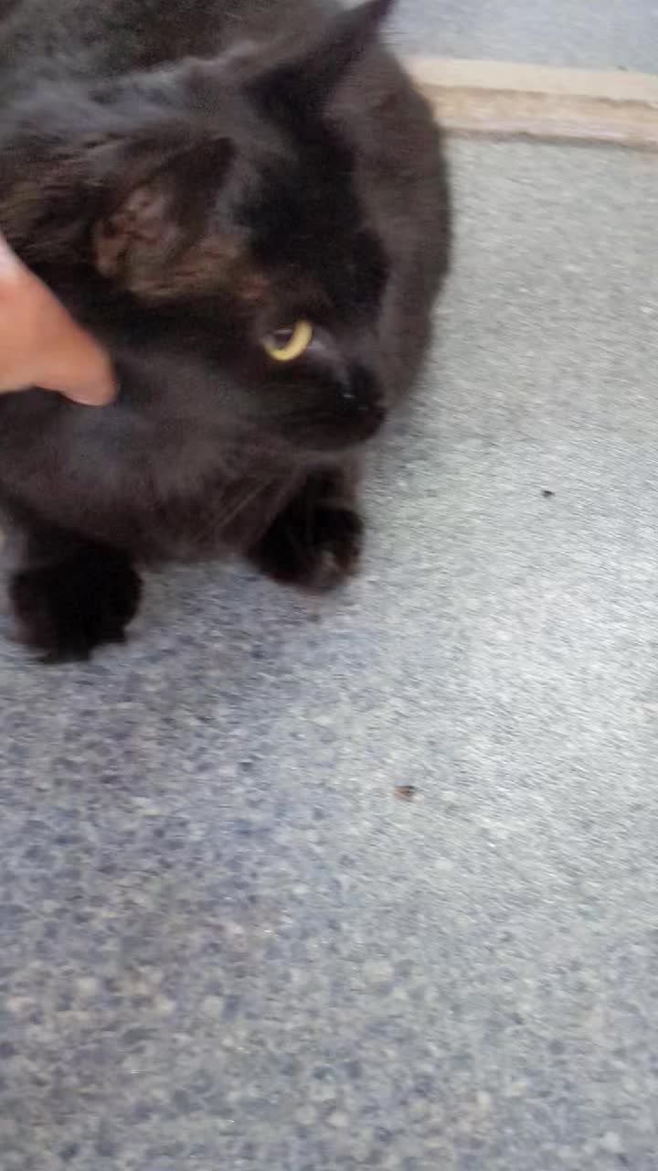 Beautiful girl just came in