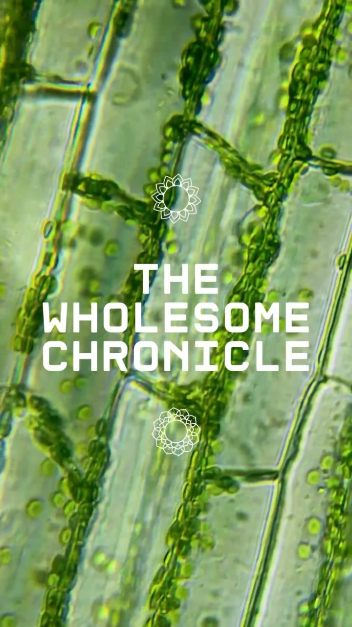 Are you someone that inspires others in your circle, by being the best version of yourself?