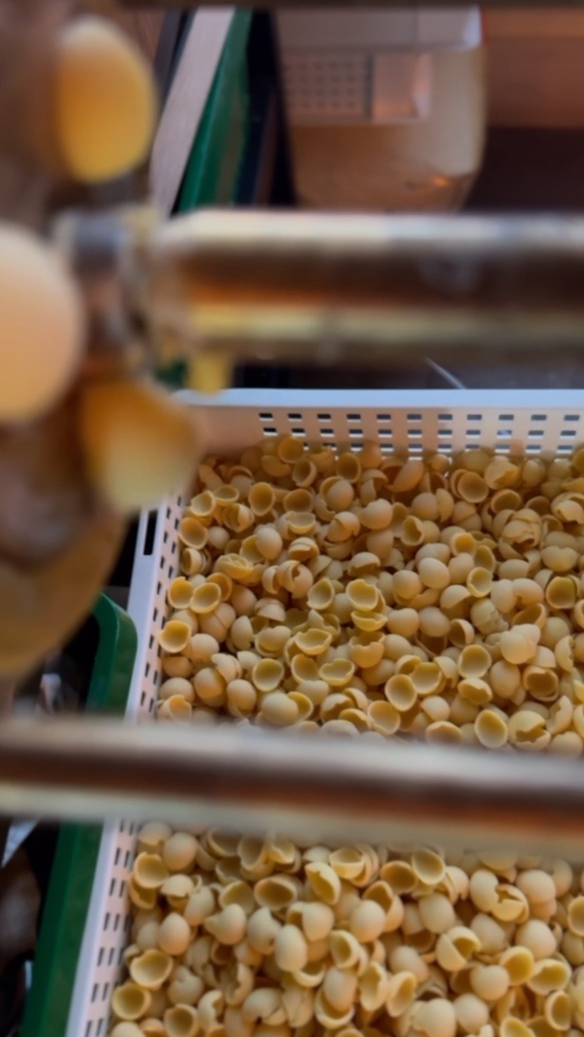 It’s all about teamwork and having a bit of fun 🙌🏼🍝💚
#restaurant #pasta #fresh #food #team #teamwork #maidenhead