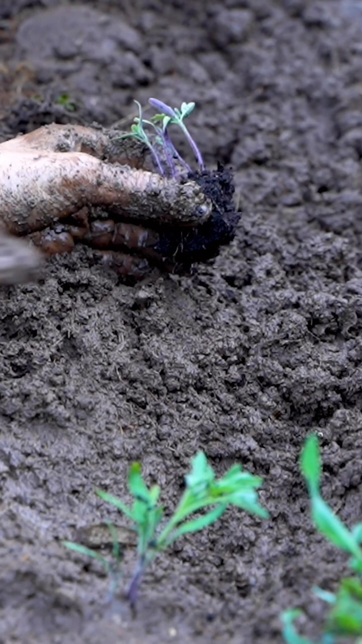 Plants are special, but now, more than ever, we should be thinking long into the future when we plant. Read why on our website!