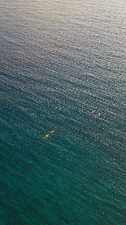 Here's a short clip from our documentary The Grand Swim. At this point @olyrush was over 26 hours into his swim, with another 10 to go 😱