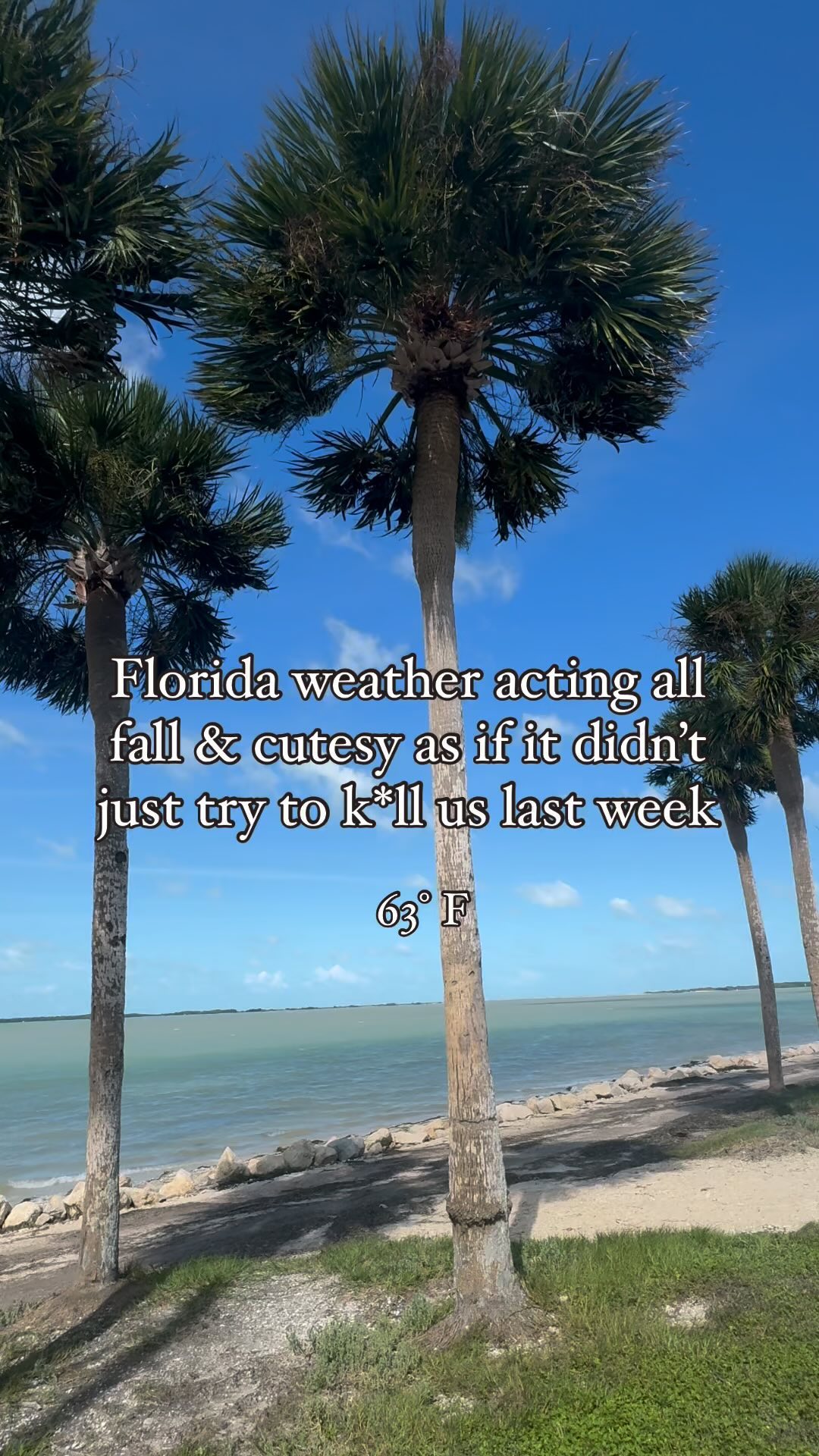 Florida weather can’t make up its mind 🙃🌴
Who else is lovin’ this cool weather 🙋♀️
It was 50° this morning! ❄️
•
•
•
•
#floridalife #floridaliving #floridatravel #visitflorida #florida #tampabay #fallweather #hurricane