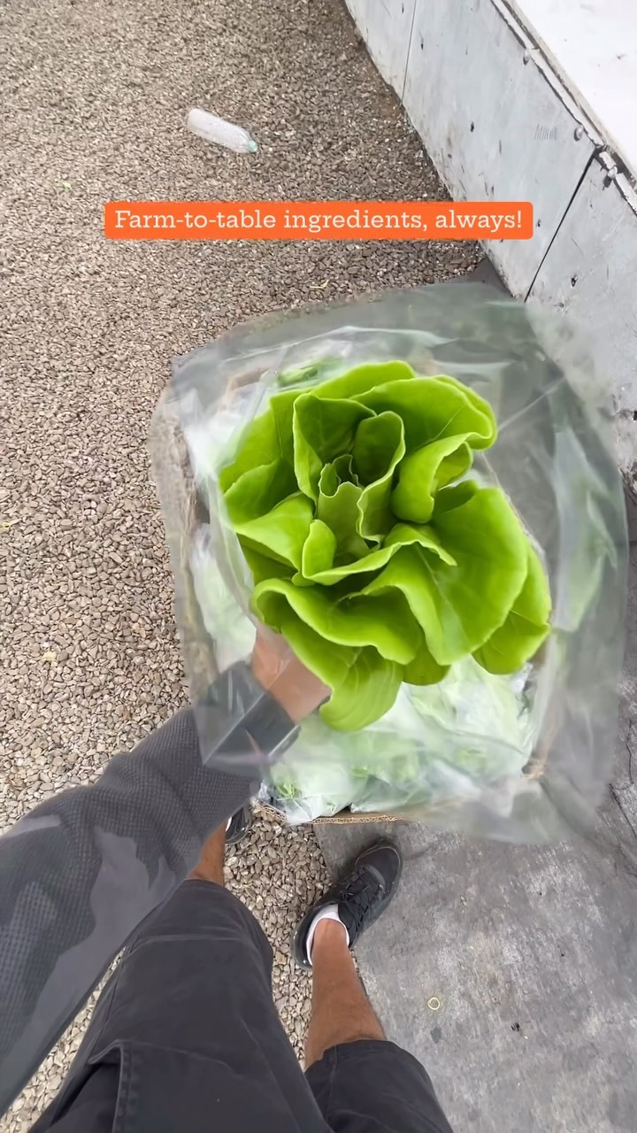 Everything we make comes from a farm! We’re all about connecting the dots between farmers and families!