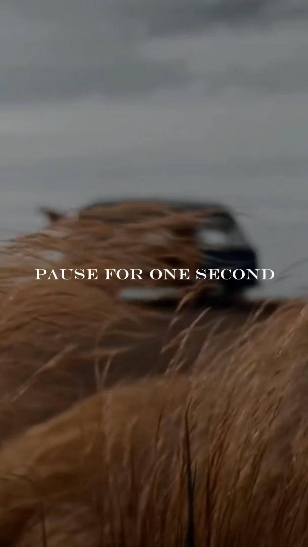 Pause…. and have a good Labor Day #rich #success #motivation #business #leadership #motivationalquotes #entrepreneur #mindset