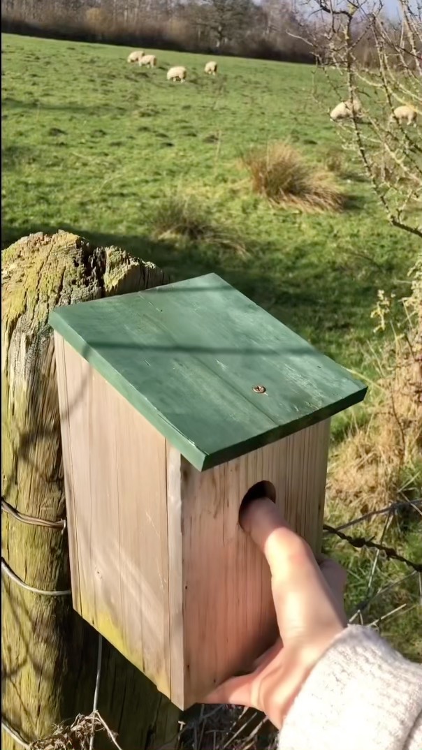 Cleaning some of our birdhouses for new spring tenants 🐦🌸🪺
#garthsidefarmholidays #glamping #camping #hadrianswall #hadrianstrail #wildlife #wildlifephotography #cumbria #carlisle #brampton #rewilding#staycation #birdhouse #birdhousecleaning #birdnest #birdphotography #holiday #garthside