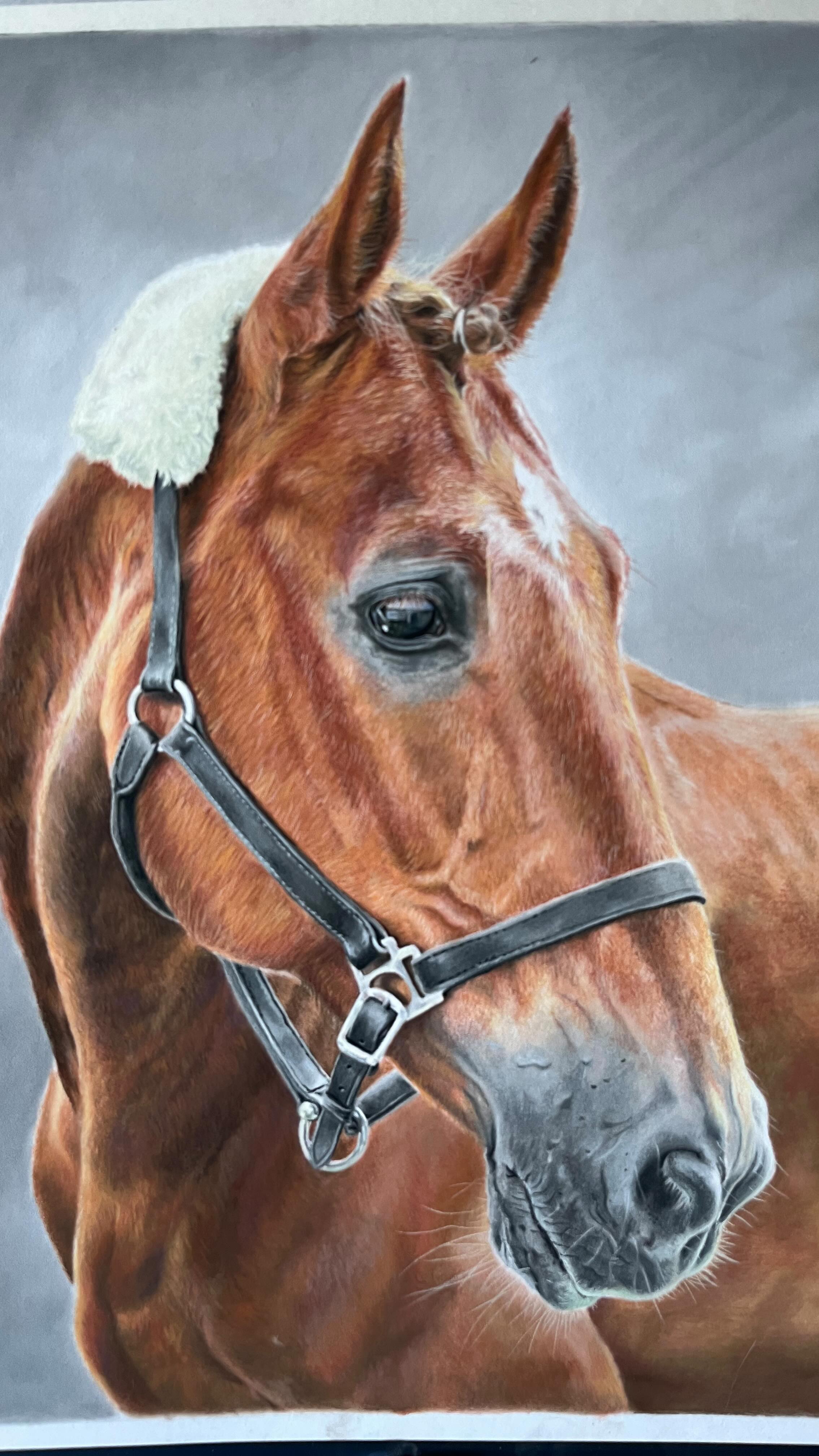 🧡 J U R I 🤎
PanPastel & Pastellstifte auf A3 Pastelmat Papier.
#pferdeportrait #pferdezeichnung
Ich denke ich habe eine neue Liebe entdeckt!😍#pastelpencils #panpastel
Mit den Pastellfarben lassen sich die Tiefen und auch die Highlights wirklich toll erarbeiten. Ich bin total begeistert!
Was sagt ihr dazu?😊
.
.
.
.
.
.
.
#drawing #art #horseart #artbyviktoria #pferdekunst #zeichnen #horselove #pferde #pferdeliebe