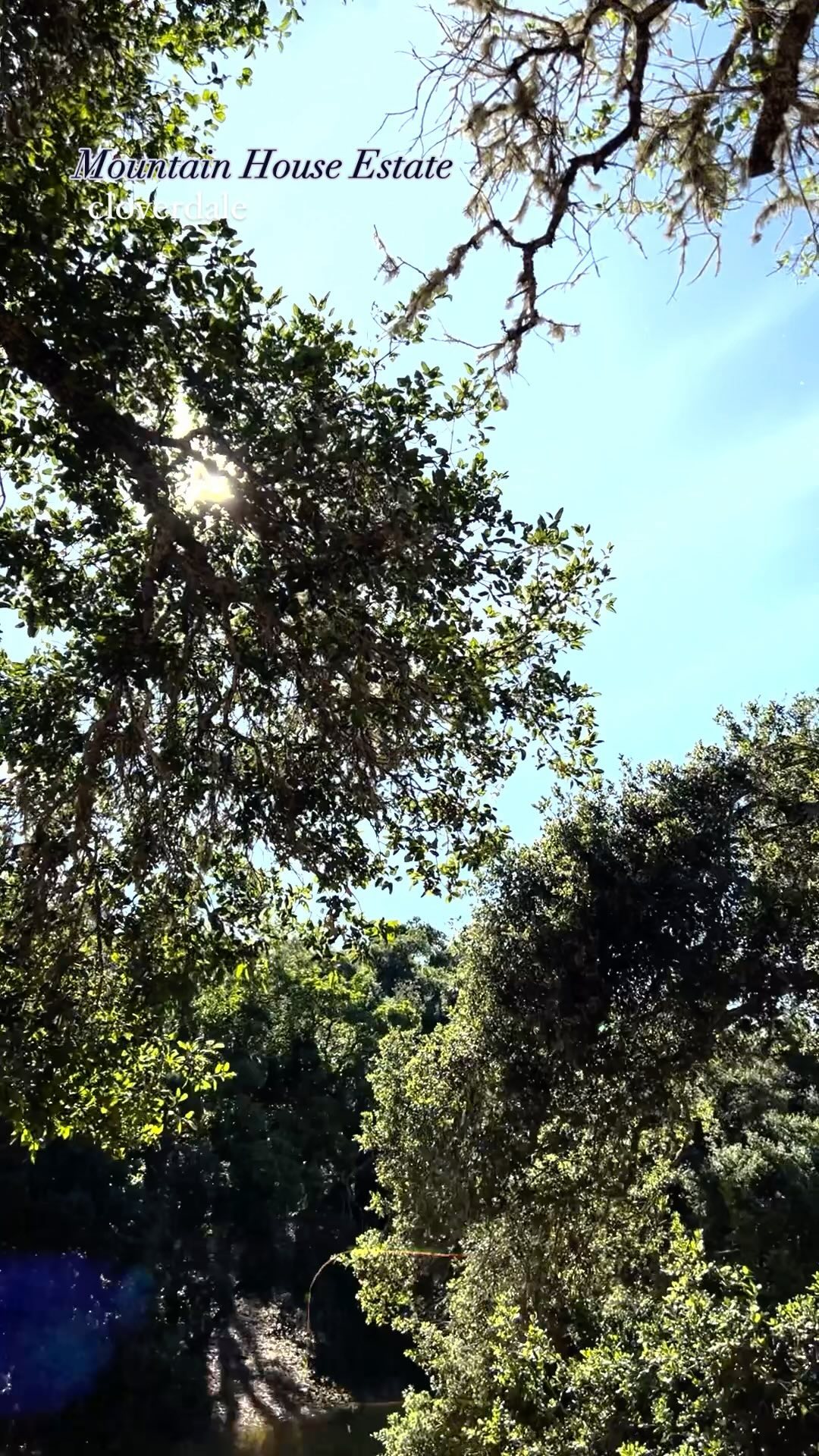 This is what you get when you’re honest and a little selfish (IN THE BEST WAY) when it comes to your wedding soundtrack and vision!
Beautiful venue, killer soundtrack, friends and family all knew what was up, and the couple was just so sweet.
Hey @johnnytphotography and @mountainhouseestate, can we just do it again?