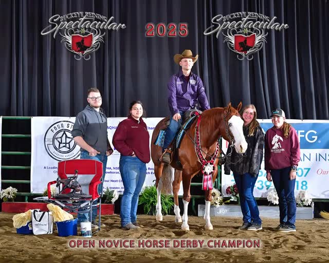 Congratulations to @kyle_westley_shaw and SHR Kids Final Rose (The Kids Gotta Gun X Spooks Sugar Rose) for owner Robert Santagata Novice L4 Open Derby CHAMPIONS, she also placed in the L4 Four Year Old Derby at the @buckeye_reining_series!
#thekidsgottagun #nrha #nrhareining #reining #reininghorses #reininghorses #buckeyereiningseries #horse #horselove #horseshowlife #horseshow #santahillranch #horsesofinsta