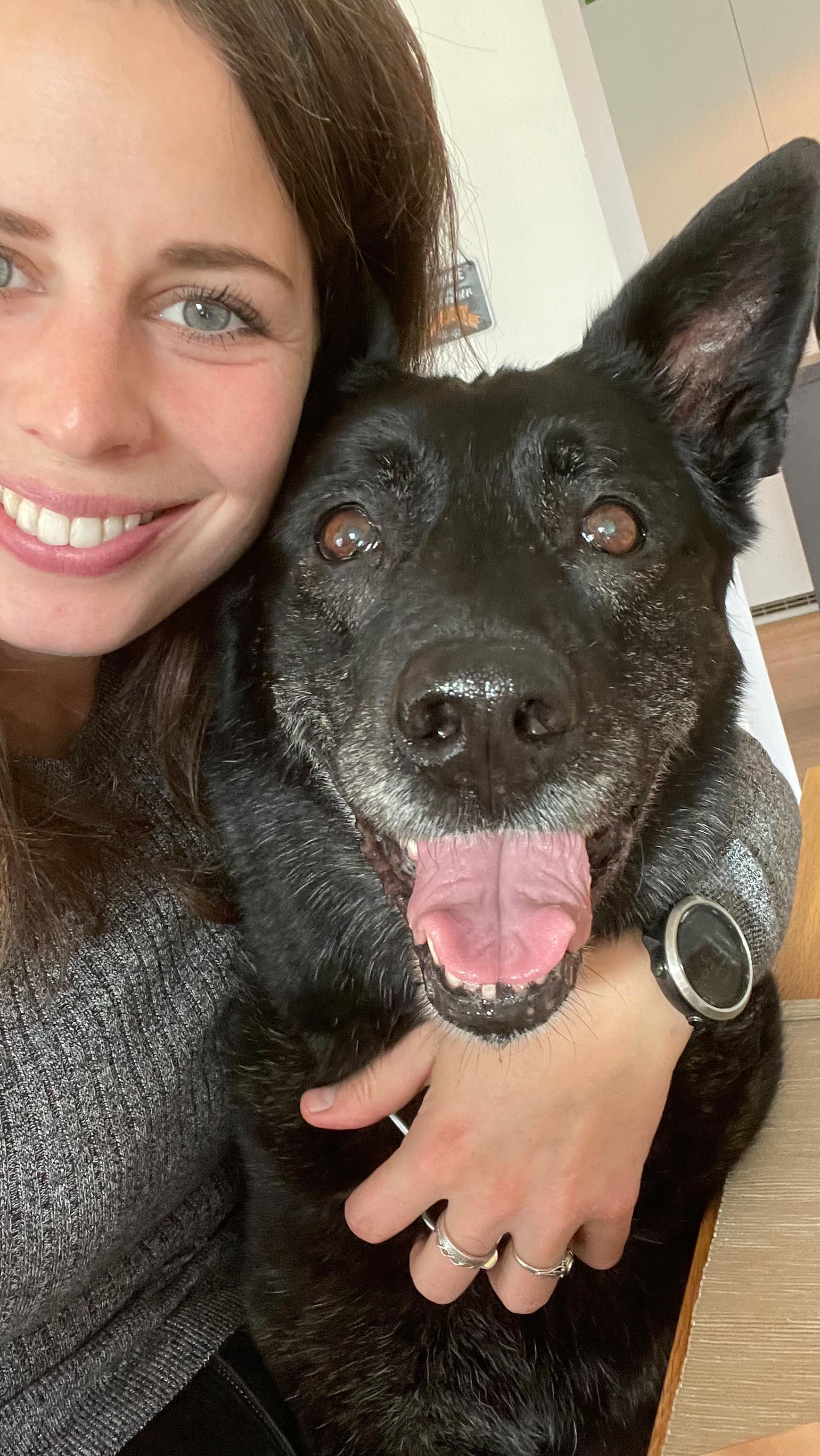 Ach Lupi 🤍 Ich hätte so viel verpasst, wenn uns das Universum dich nicht geschickt hätte. Ich hätte nie erfahren, wie toll es sein kann, einen Familienhund zu haben, aber du hast mir gezeigt, wie viel mehr als nur ein Hund du warst. Tränen haben wir wegen dir gelacht und wenns mir schlecht ging, warst du da. Wenn ich nicht daheim war, hab ich immer als erste nach dir gefragt und du wurdest auch immer als erste geknuddelt, wenn ich heim gekommen bin. Wie oft sind wir zwei nicht stundenlang im Sonnenuntergang herumspaziert und wie oft hast du dich zu mir ins Bett gekuschelt. Du hast mich immer zum lachen gebracht und hast deine eigene Show abgezogen. Und heute hab ich dich das letzte Mal geknuddelt und sitz jetzt da und verstehs noch nicht ganz, aber ich hab ja die Dolly noch bei mir. Die hätt ich ohne dich auch nicht und ein bissi was steckt ja drin von dir in dem verrückten Wauzi! Ich vermiss dich jetzt schon, du Knutschkugel, aber nach so langer Zeit darf man auch mal gehen. Und in den Erinnerungen bleibst du ja sowieso, du Seelenhund! Du bist meine Heldin und ich weiß, wir sehen uns wieder 🤍 Wenn es einen besten Hund der Welt gibt, dann warst Du diejenige 🤍