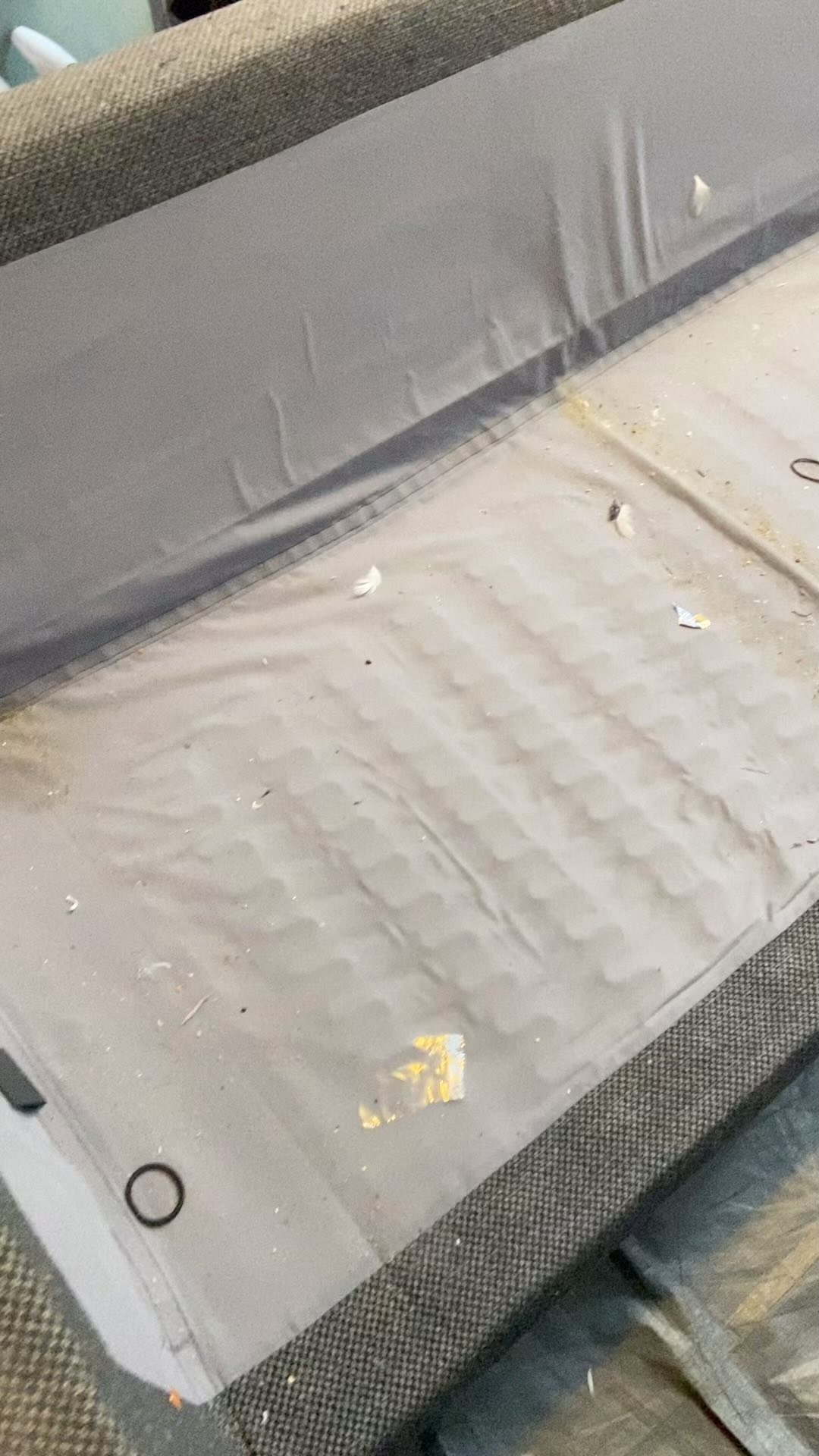 A well needed sofa clean for a new customer in Northampton☑️
🧹Professional Cleaning Company
📍Beds/Bucks and surrounding areas
📧smithscarpetcleaning@outlook.com
🌍https://www.smithscarpetcleaning.com
📞07908086888
🌳ECO Products
🧼Carpets & Upholstery
💧Stain Protection
🌵DRY IN 1 HOUR or less (usually before we leave)
#carpetcleaning #carpetcleaner #carpetcleaningservice #bedfordshirecarpetcleaner #hertfordshirecarpetcleaning #miltonkeynescarpetcleaning #carpetcleaningtips #carpetcleaningservices #carpetcleaningdoneright #beforeandafter #commercialcarpetcleaning