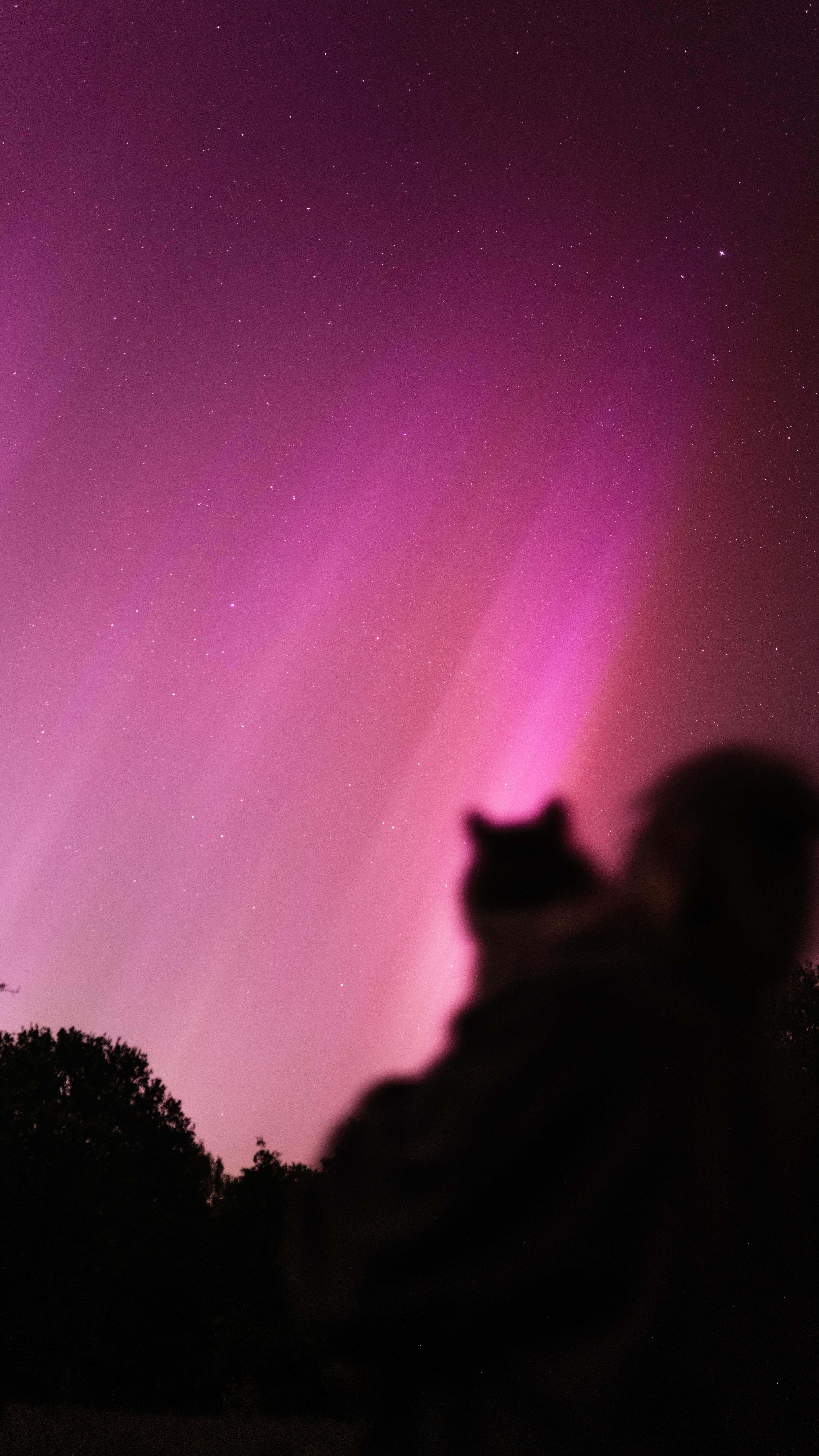 Habt ihr auch das Glück gehabt Polarlichter heute Nacht beobachten zu können? 😍🧡✨
#northernlights #auroraborealis #polarlichter #polarlichterdeutschland