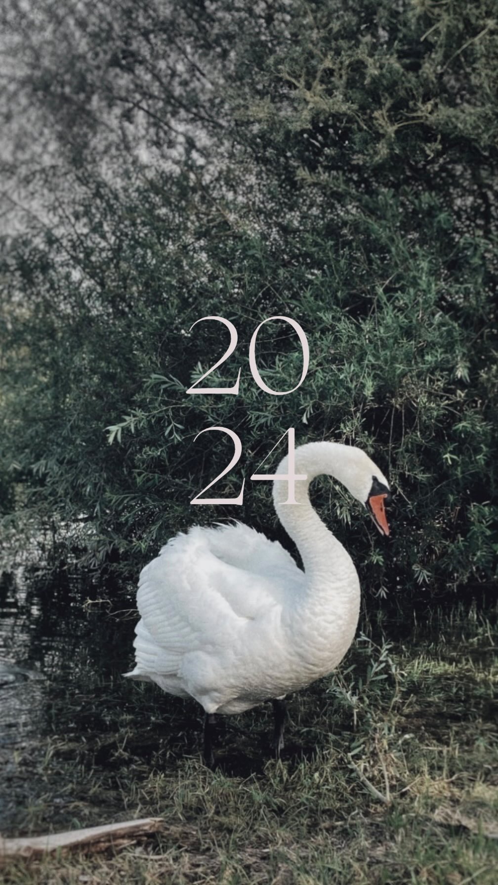 Crazy 2024.
Danke an alle, die letztes Jahr ein Stück mit mir gegangen sind 🤍
Und hallo 2025! Ich freue mich auf spannende Projekte und neue (wie nicht mehr so neue :)Menschen, die mich begleiten!
.
.
.
#photography
#corporatephotography
#eventphotography
#portraitphotography
#interiorphotography