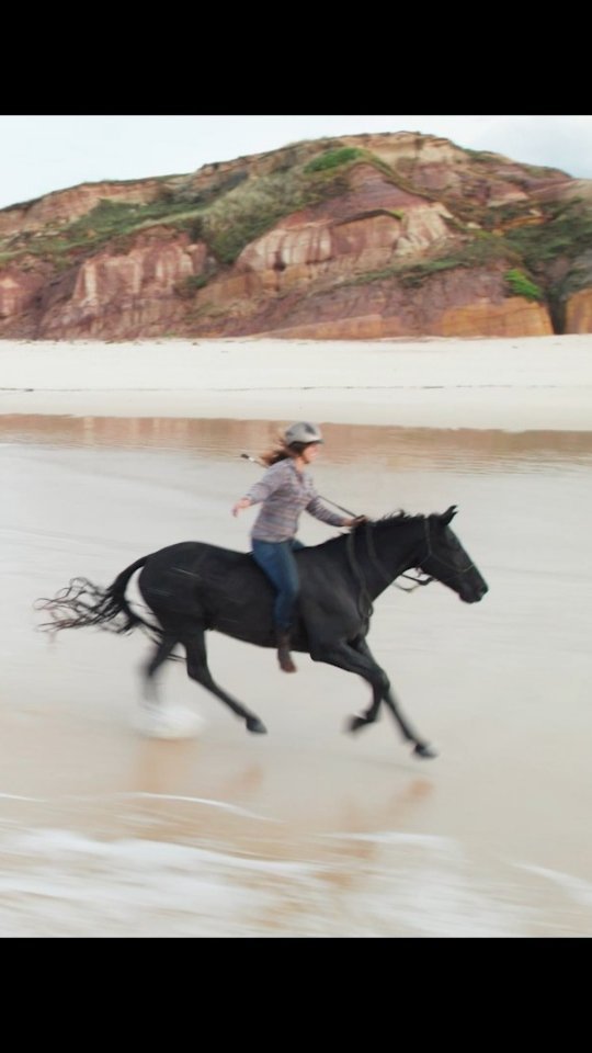 Wow! Spontaneously shot by @mathysfraile in Almagreira today 🥰