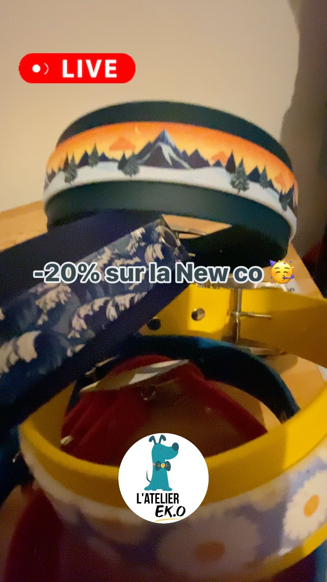 Sur ces beautés, je vous souhaite une belle soirée 🥳
-20% sur la nouvelle collection code: 10JOURSFOU
www.lateliereko.fr
#newco #doglovers #collierchien #artisanat #lateliereko #paysdelaloire #dogsofinstagram #fyp #entrepreneuse #faitmain #promo #nouvellecollection #chien