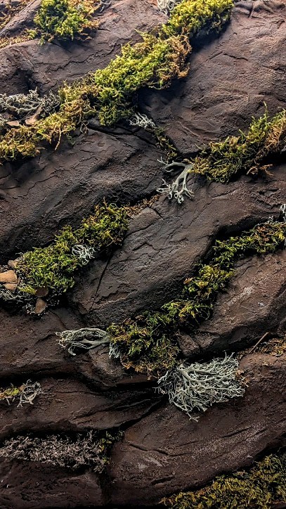 ⛰️ Decorative Accent Texture Stone Wall with Stabilized moss in natural Canadian brown.
📝 Get yourself a wild natural sanctuary in the busy bustling Toronto life.
⛰️ @decowalls.ca
🔨 Commercial and Residential
📐 Handcrafted and sculpted to perfection
📞 416-558-7155
.
.
#accentwall #stoneaccentwall #acousticwall
#stoneaccentwalltoronto #decorativewall
#decowalls #toronto #torontolife #torontorealestate #accentwallpanels #torontocontractor #decorativepanelstoronto #accentwalltoronto #decorativestone #design #InteriorDesignToronto #moderninterior #custominterior #moderndesign #kitchendesign #roomdesign #livingroomdecor #wallart #walldecor #texturewall #texturewalls