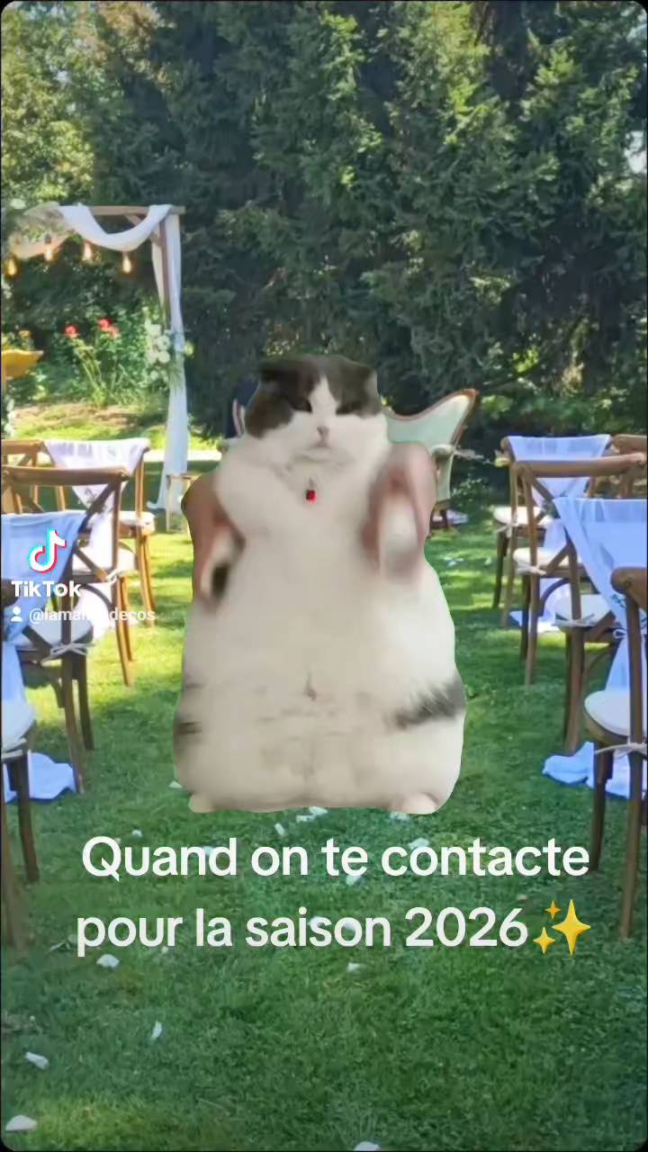 EN PLACE PPUR L'OUVERTURE DU PLANNING 2026✨
#decor
#ceremonydecor
#weddingplanner #savoie #rhonealpes #mariage
#mariage2026
#decoratrice