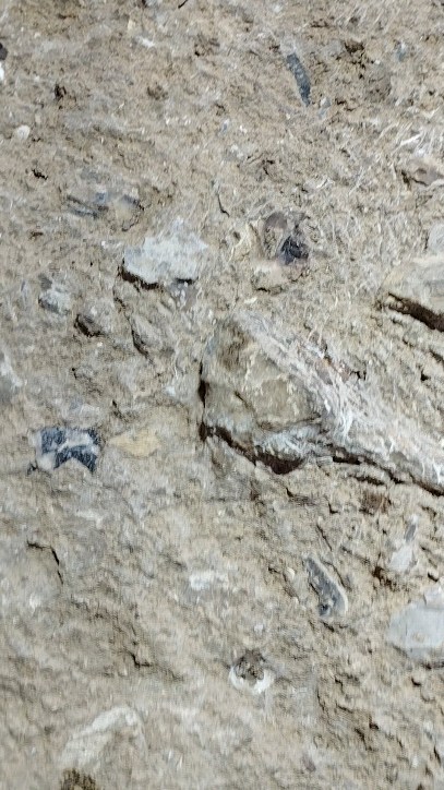 SQUARE AI24a
More and more lithics 🪨🤠
#prehistory
#flintknapping
#levalloisflake
#excavation
#archaeology