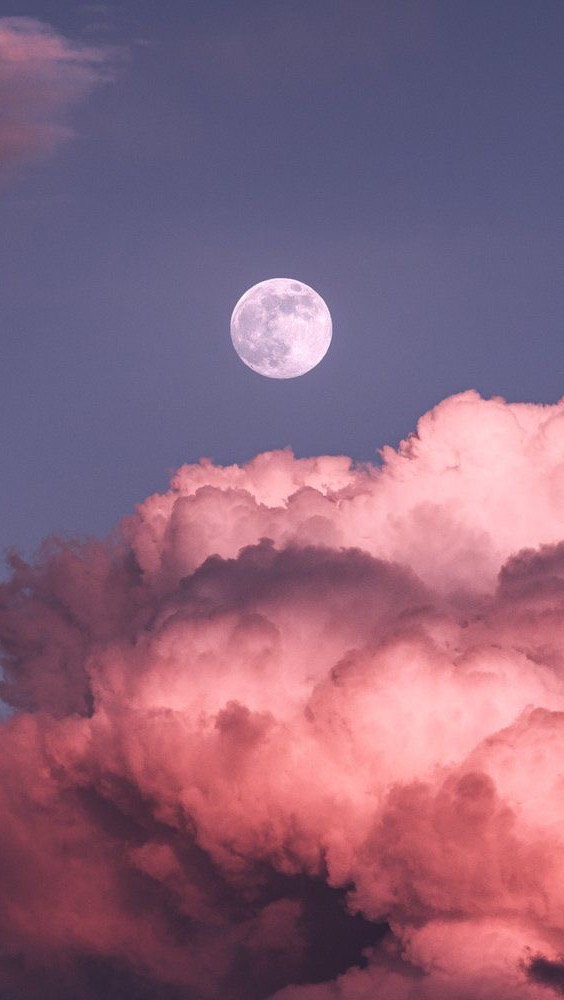 ✨🌕Full Hunters Moon in Aries🌕✨
Message for the collective💫
#fullmoon #fullhuntersmoon #aries #libraszn #libraseason #fullmoonreading #psychicreading #oraclereading