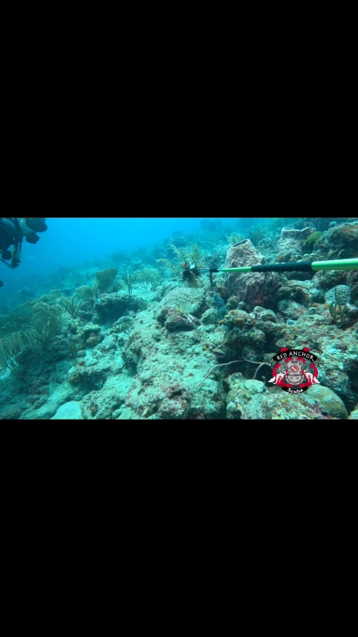 Little dude must’ve been hungry…😂