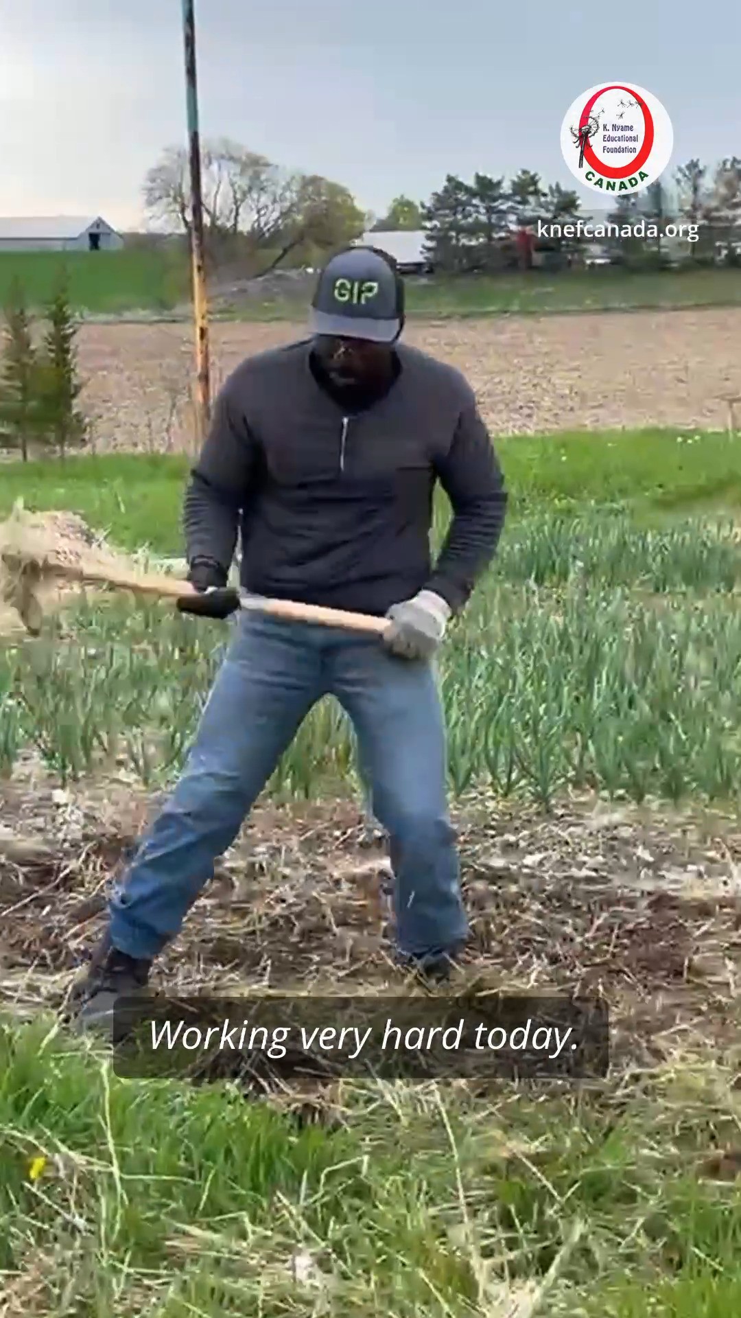 💪Expanding our garlic farm! 🧄
🌿 We meticulously cleared out pesky weeds from our garlic plantation.
🌾 We’ve begun extending our garlic plantation, reaching for even greater yields.
🛠️ Investing in top-notch equipment to ensure our farming needs are met with precision and efficiency.
Follow @knefcanada