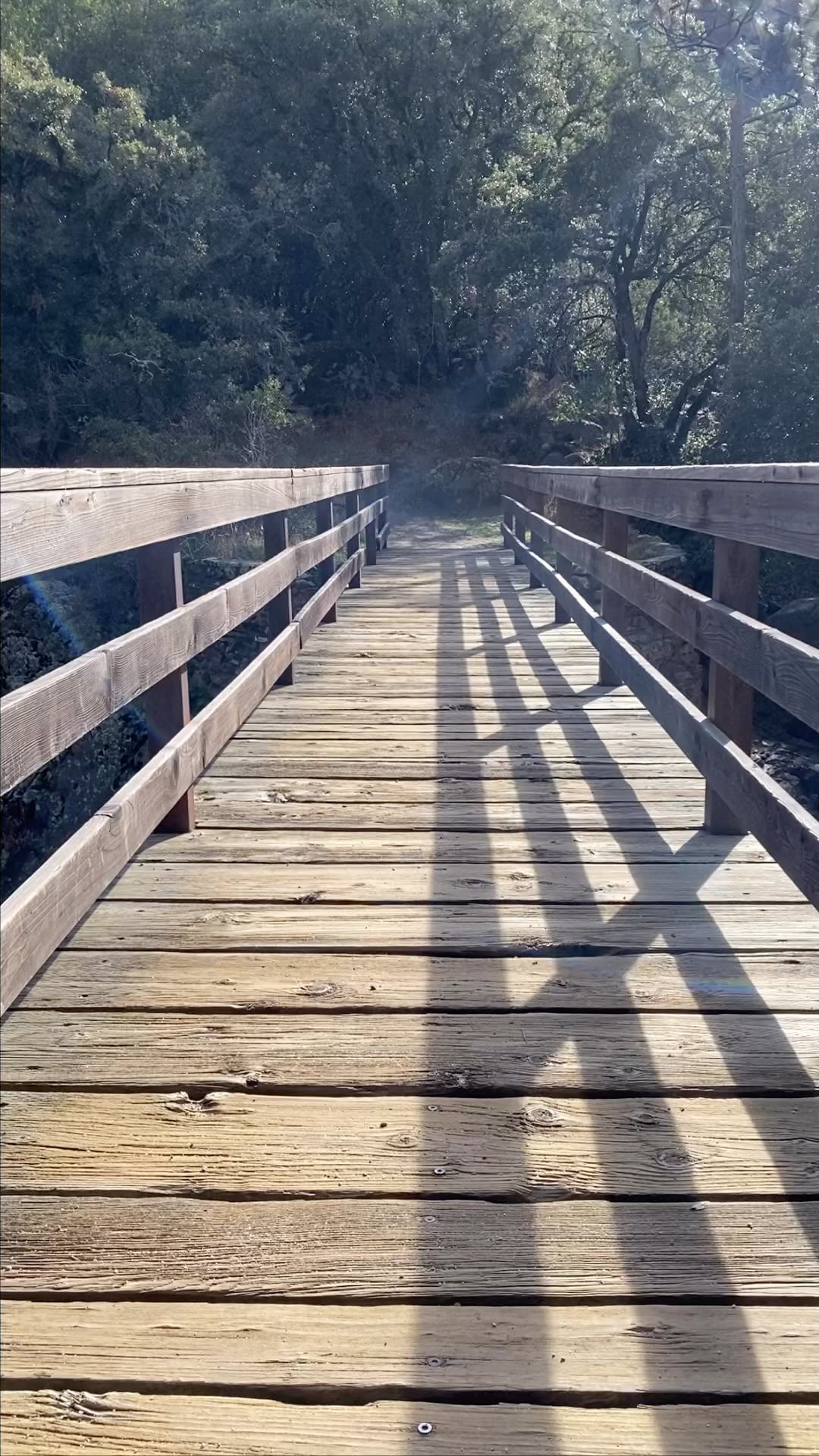 Come for a walk with us. It’s nice out there. 🙌
📍Paradise Creek Trail in December
#buckeyetreelodge #sequoianationalpark #sequoia#kingscanyonnationalpark #threeriversca #hike #findyourpark #optoutside #ecolodge #ecotourism #mountainlodge #sustainabletravel #yogaretreat #yogastudio #wellness #visitseki #nationalparks #hiking