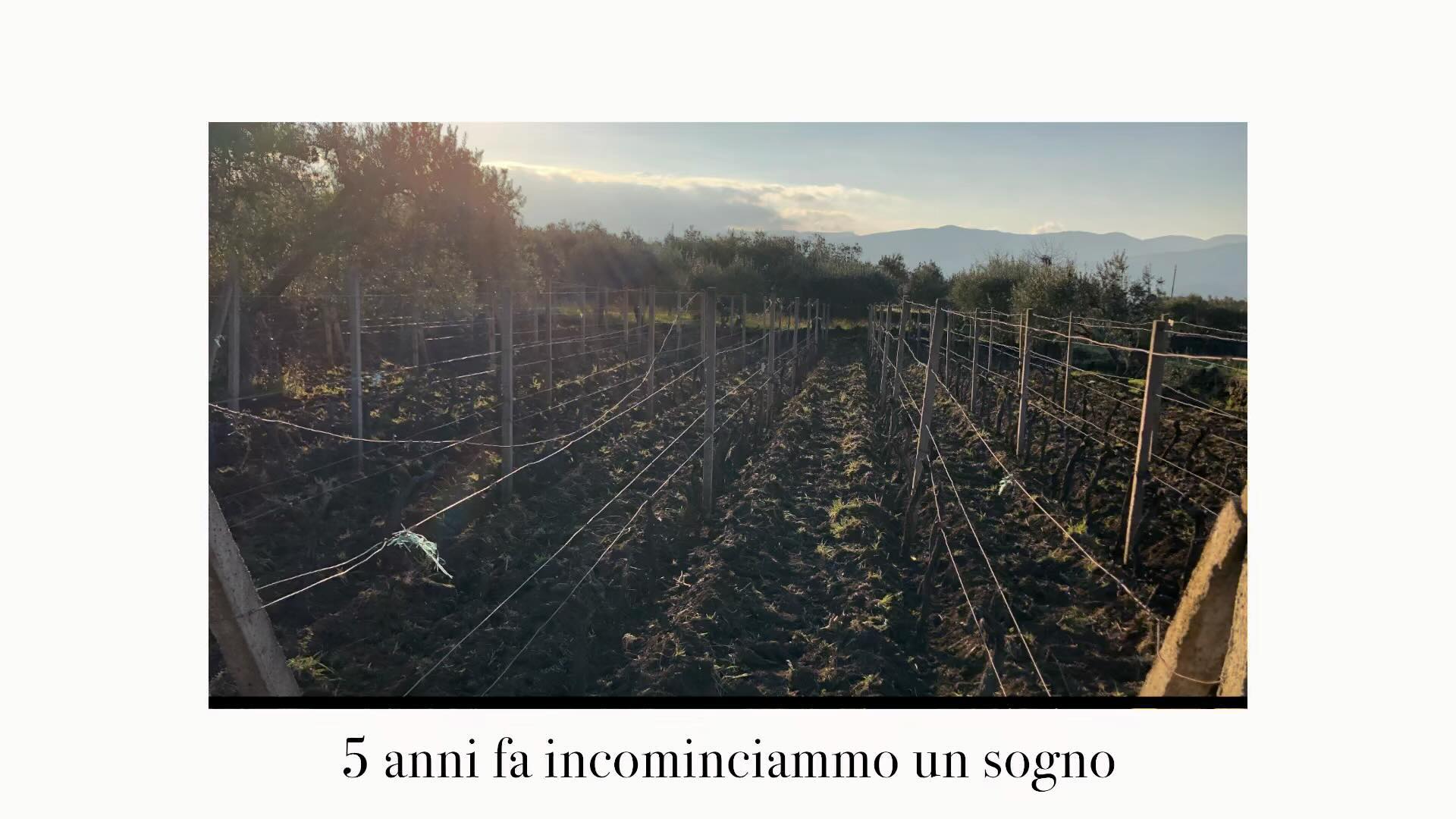 IT:Sono cinque anni di questo sogno meraviglioso che continuerà e voglio ringraziare tutte quelle persone, chi mi ha aiutato a lavorare la terra, chi mi ha sostenuto e chi ha creduto in questo vino e progetto. EN:It’s been five years of this wonderful dream that will continue and I want to thank all those people, those who helped me work the land, those who supported me and those who believed in this wine.and project. #etna🌋#sognolavico#vino#passione