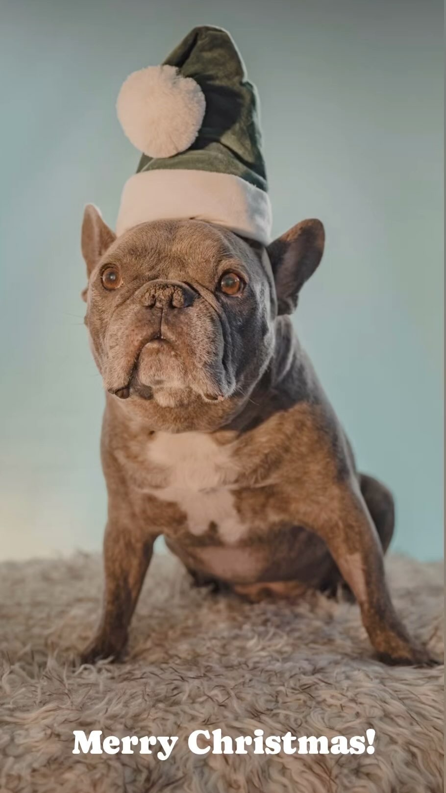 🎅🏼Merry Christmas everyone! #hehatesme