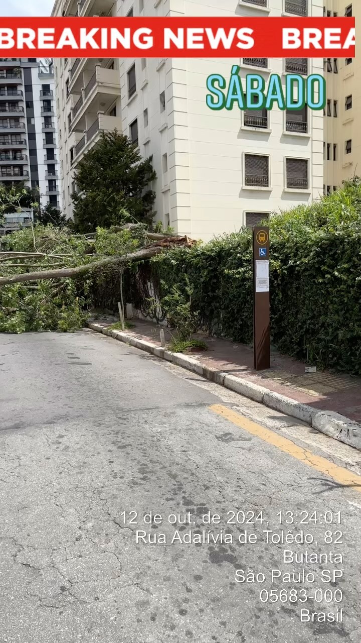 Solicitando ajuda da Defesa Civil e a Enel Pará desobstrução da rua e reestabelecimento da e energia.