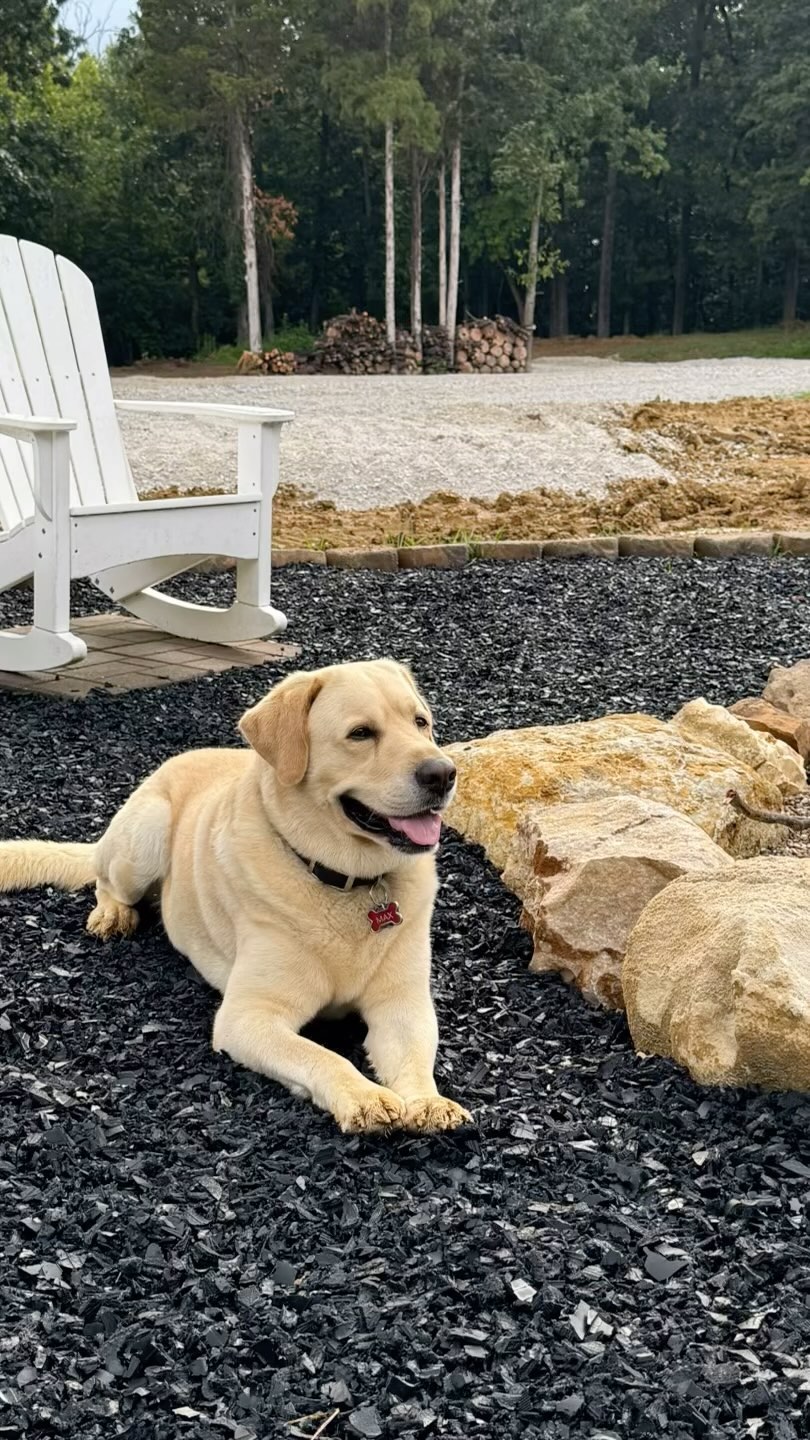 After the rain, the weekend landscaping project has paused and we are enjoying an evening outside with Max… FYI, no fire in the fire pit!!!😅