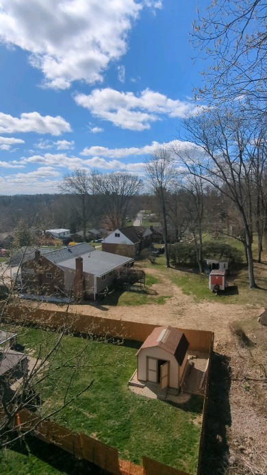 View from the office #treeservice #owneroperator #treeremoval #treeservice #stumpgrinder