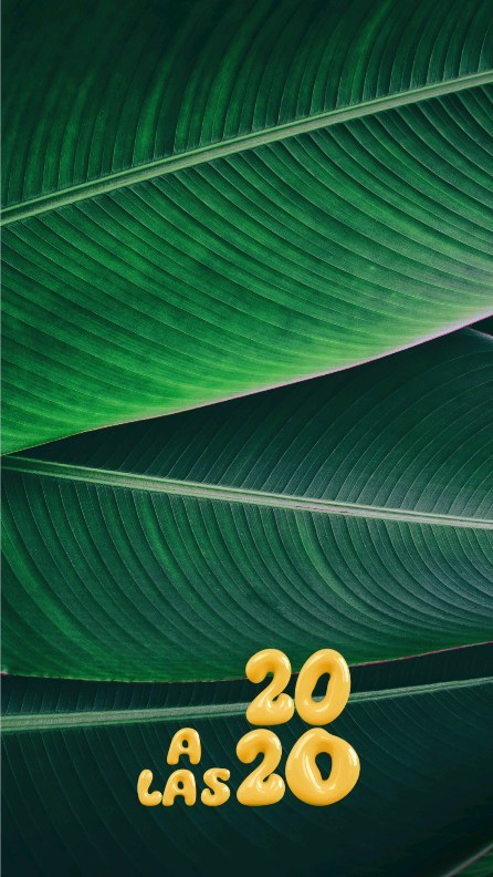 Este viernes 2 de febrero @ipereyrarivero junto con nosotrxs estaremos realizando la segunda entrega de nuestra serie de Instagram live 20 a las 20.
Esta vez exploraremos el tema de las Olas de Calor 🥵 que están impactando a casi todo el continente Sudaméricano y de las cuales los animales sufren mucho.
Asi que activa el recordatorio 🔔 y aprende sobre las diferentes maneras que podemos ser de apoyo para animales domésticos y silvestres.
Te esperamos! 💕
.
.
.
#animalesendesastres #iad #iadlatam #inclusionanimalendesastres #inclusionanimal #cuidadoanimal #ningunanimalsequedaatras #animal #animallovers #animals #amor #ayuda #proteccion #conservacion #educacion #desastres #desastresnaturales #latina #oladecalor #calor #uruguay #venezuela #argentina #chile #colombia #ecuador #americalatina #20alas20 #2024