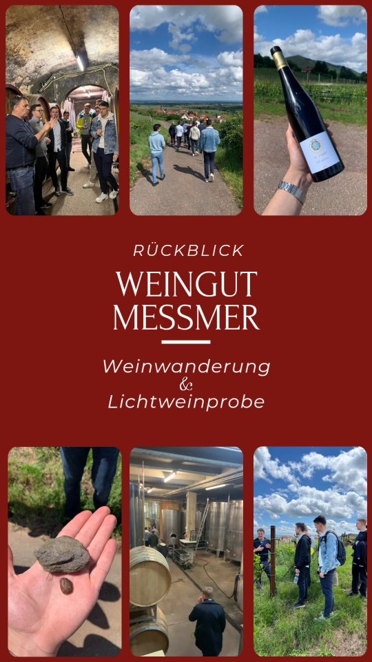 Das vergangene Sommersemester durften wir mit einem sehr gelungenen Besuch beim @weingut.messmer in Burrweiler abschließen. Nach einer Führung durch den Weinkeller und der Verkostung einiger Fassproben ging es raus in die Weinberge. Dort zeigte uns Martin Meßmer eindrucksvoll die Unterschiede zwischen konventionellem und ökologischem Weinbau, den aktuellen Stand der Vegetation und die damit verbundenen anfallenden Arbeitsschritte.
Weiter führte uns die Wanderung durch die beiden Spitzenlagen Weyher Michelsberg und Burrweiler Schäwer, wo neben der Erklärung der geografischen und klimatischen Typizitäten vor allem die Verkostung der korrespondierenden Weine den Einfluss des Terroirs verdeutlichte.
Anschließend kehrten wir in die schön gelegene Vinothek des Weinguts ein, genossen ein Glas Wein auf der Dachterrasse und testeten abschließend unsere Sinne im Rahmen einer sensorischen Lichtweinprobe. Dabei ließen dezent wechselnde äußere Einflüsse wie das Licht oder die Hintergrundmusik so manchen Weinliebhaber ins Rätseln kommen.
Wir bedanken uns ganz herzlich beim Weingut Meßmer für das schöne Event sowie die perfekte Organisation!
Cheers und bis bald, euer vinUM-Team🍷