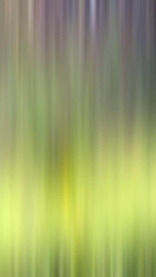 “How can we help you?”
We often ask this question — and the answers are always unique. But today, the response touched all of our hearts: “Malama the ahu.”
This ahu is a sacred space where we oli together to begin our day, where we sit and kilo the shoreline, and where we listen deeply to the mana and manaʻo of the ʻāina.
When we learned that caring for this place would be our final stewardship kuleana of the year, we felt honored. What a beautiful way to close our season — tending to this special place as we prepare to send off our last hui until August.
As we enter the summer months, may blessings surround you and your ʻohana. We look forward to regrouping, enrolling new haumāna, and beginning a fresh new year in August with renewed intention.
If you haven’t already, we still have a few spots open for your keiki. Please reach out — we would love to be a source of growth and connection for your ʻohana, just as we strive to be a blessing to our wider community.
With aloha,
The Pono Outdoor ʻOhana
#ponooutdoorprogram #laulima #malamaʻāina #keikioftheaina #givebacktonature #unity #community