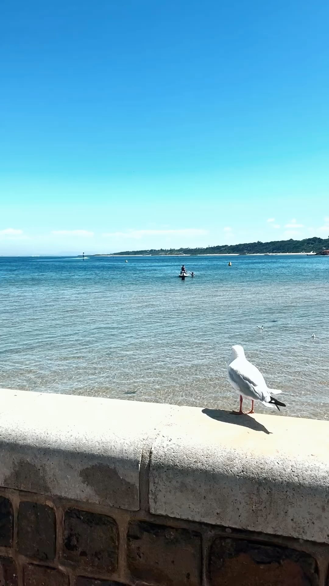A bit of a mash up from my resent Riesling Road trip downunder 🇦🇺 where I smuggled in some 🇩🇪 gems and old gold #riesling 🍾 meeting with some very thirsty private wine clubs, collectors and hosted tasting events. The response was real!… Real Love for German wines. 🫶🥂
P.s you might also see a few thirsty Aussies around the Weinbergs this summer 😜
#winelife #winetours #winetasting #wineclub #winelovers❤️ #germanwine #melbourne #sydneywinelovers #winetravel #spätburgunder
@weingut.ck @schlossgut_diel @vdp.diepraedikatsweingueter @schloss_schoenberg @st_antony @braunewell1655 @weingutkwechsler