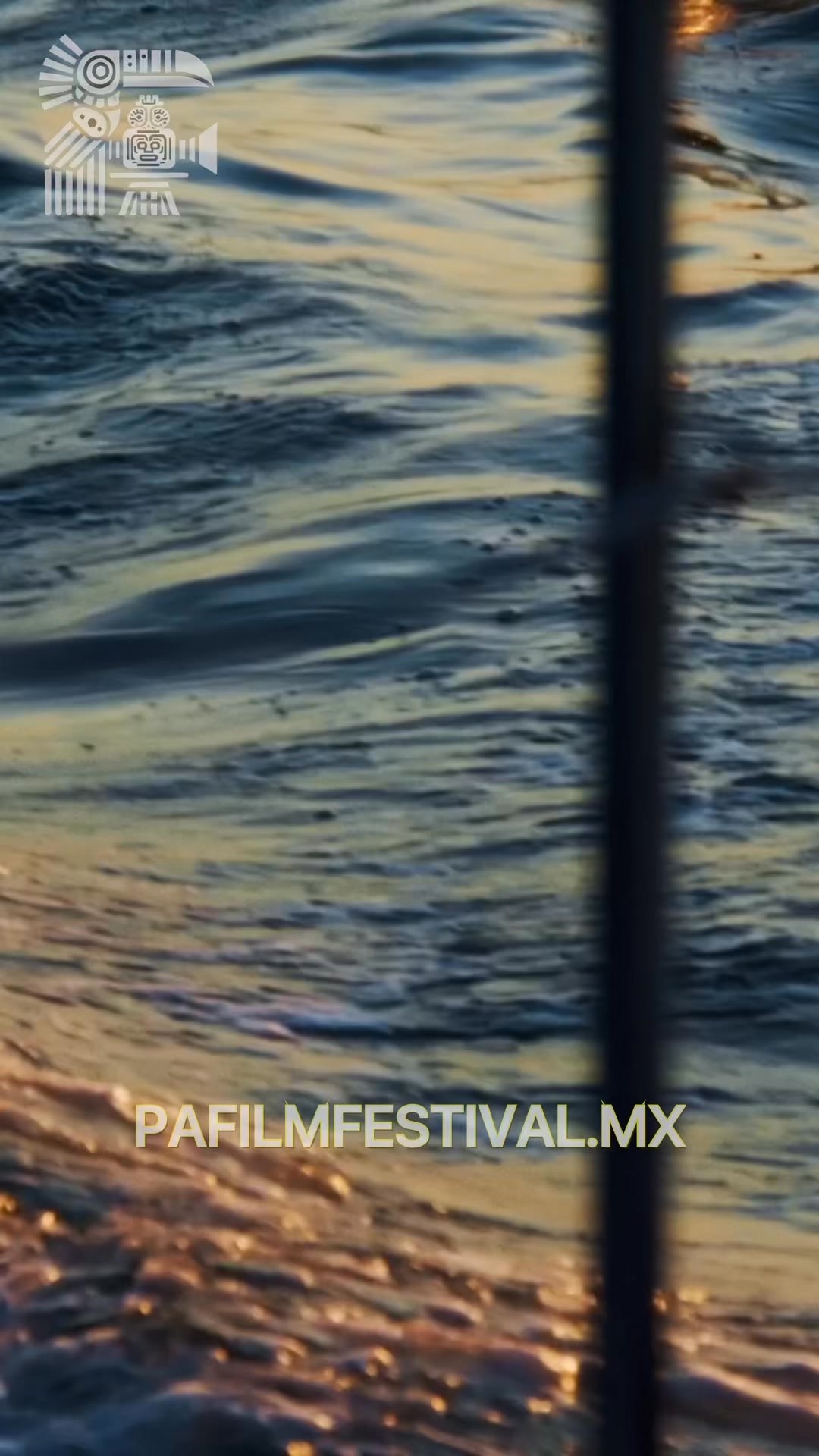 7 days until the second annual #paiff #pafilmfestival #puertoaventuras #filmfestival #rivieramaya #playadelcarmen #tulum #internationalfilmfestival #sizzlereel #trailer