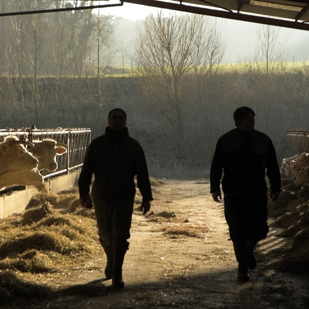 Notre savoir-faire, c'est aussi de savoir raconter des histoires de vie singulières, marquantes et inspirantes. Plusieurs agriculteurs engagés nous ont accordé leur confiance pour nous faire le récit de leur quotidien.
#agriculture #région #métier
Montage : @sacha.paol
Production : @mts_emilie
Producteurs : @franckmorlet et @nicolasbarsikian