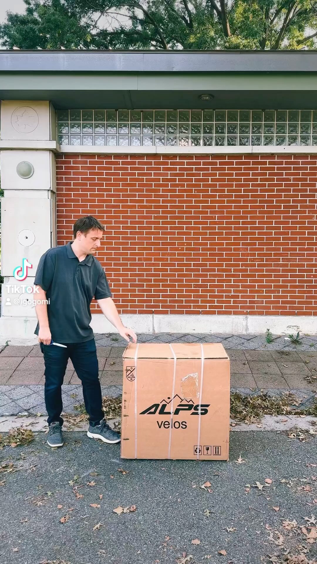 IGOGOMI ALPS 3 folding 5-Speed Electric Bicycles( black)Unboxing Video