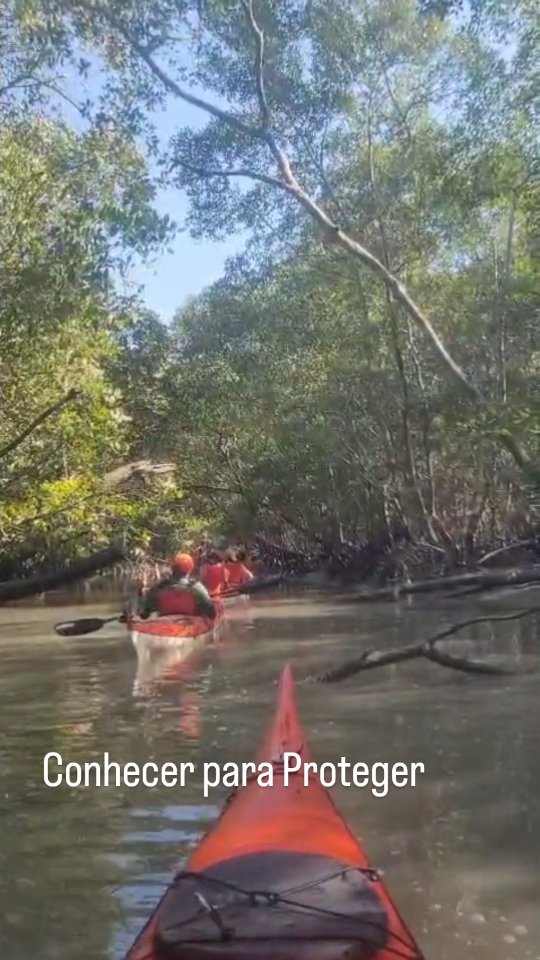 🌿 Dia Internacional de Proteção aos Manguezais
Hoje é o Dia Internacional de Proteção aos Manguezais.
Acreditamos em Conhecer para Preservar e levamos nossos clientes para conhecer este lindo ecossistema sem poluir e sem barulho.
Você sabia que em Paraty, existem lindas áreas de manguezal que merecem nossa proteção?
Os manguezais em Paraty não apenas oferecem paisagens deslumbrantes, mas também desempenham um papel crucial na preservação da costa, na manutenção da biodiversidade marinha e na mitigação das mudanças climáticas.
Os manguezais são verdadeiros santuários da vida selvagem, onde espécies marinhas e aves migratórias encontram refúgio e alimento.
Além disso, eles são essenciais para a economia local, contribuindo para a pesca sustentável, Gastronomia deliciosa e o turismo ecológico
Então, neste Dia Internacional de Proteção aos Manguezais, vamos lembrar da importância dos manguezais em Paraty e em todo o mundo.
Vamos nos unir para proteger esses preciosos ecossistemas e garantir que continuem a enriquecer nossas vidas e o meio ambiente. 💚🌊
#manguezal #mangrove #protecaodomamgueza #nature #natureza #turismo #abeta