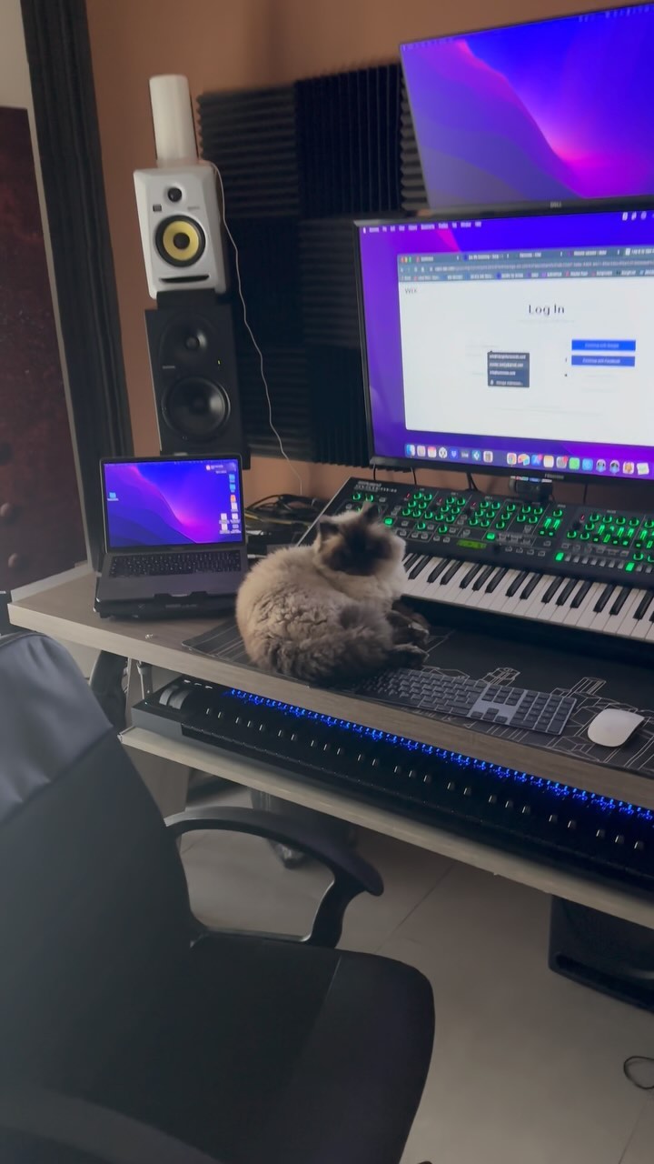 My cat is composing a new horror theme 😂😼 @life_of_leopold_the_cat
#musicproduction #catstagram #dubaicats